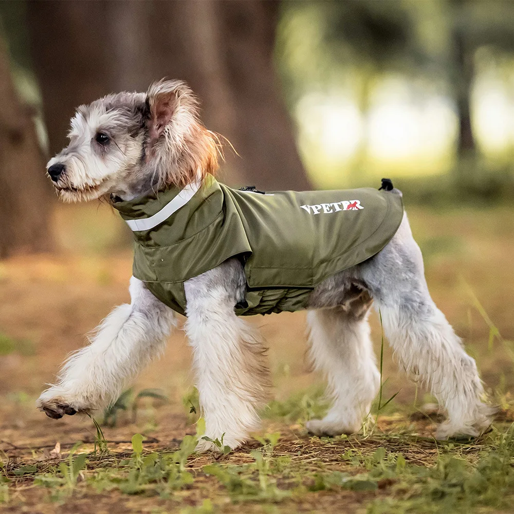 Pet Dog Raincoat, Outdoor Weatherproof Clothing, Small And Medium-sized Dog Outdoor Clothing, Jumpsuit Jacket, Pet Dog Clothing
Pet Dog Raincoat, Outdoor Weatherproof Clothing, Small And Medium-sized Dog Outdoor Clothing, Jumpsuit Jacket, Pet Dog Clothing