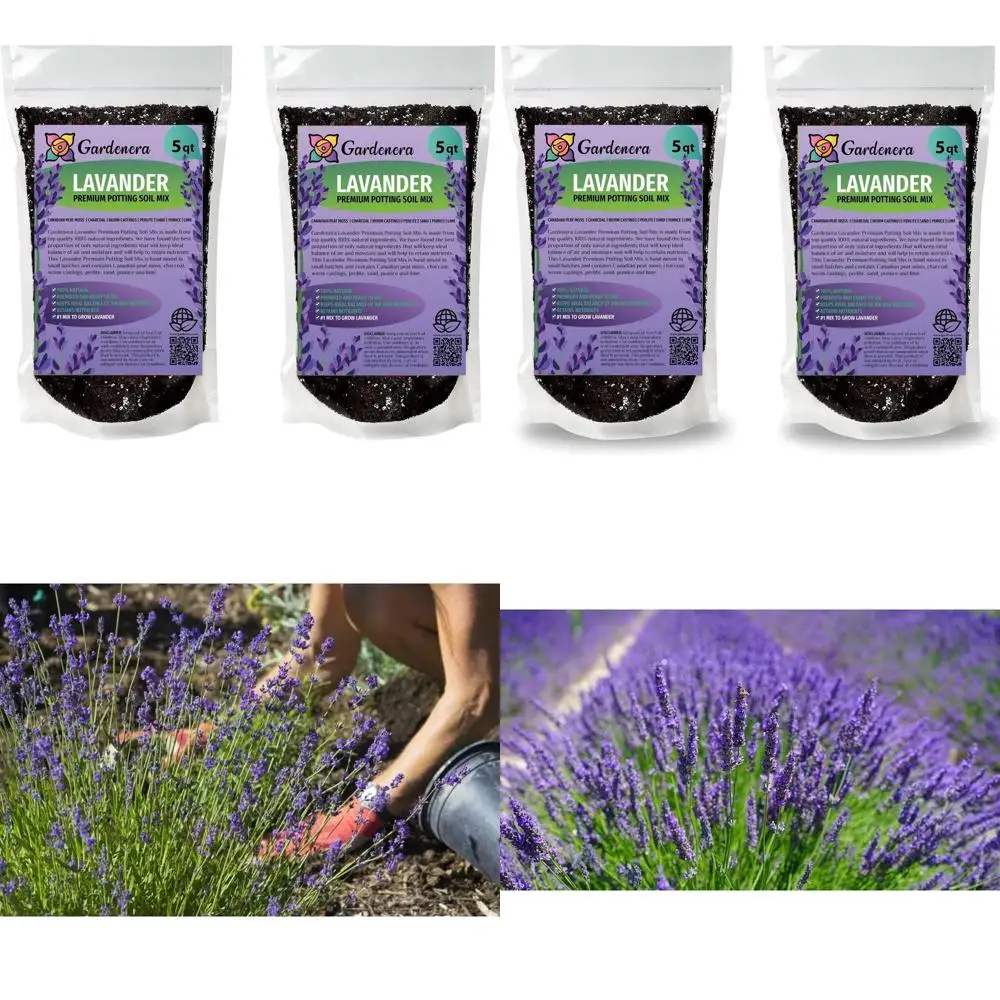 Premium Lavender Potting Mix - Enhanced Performance & Aroma - 10 Quarts
Premium Lavender Potting Mix - Enhanced Performance & Aroma - 10 Quarts