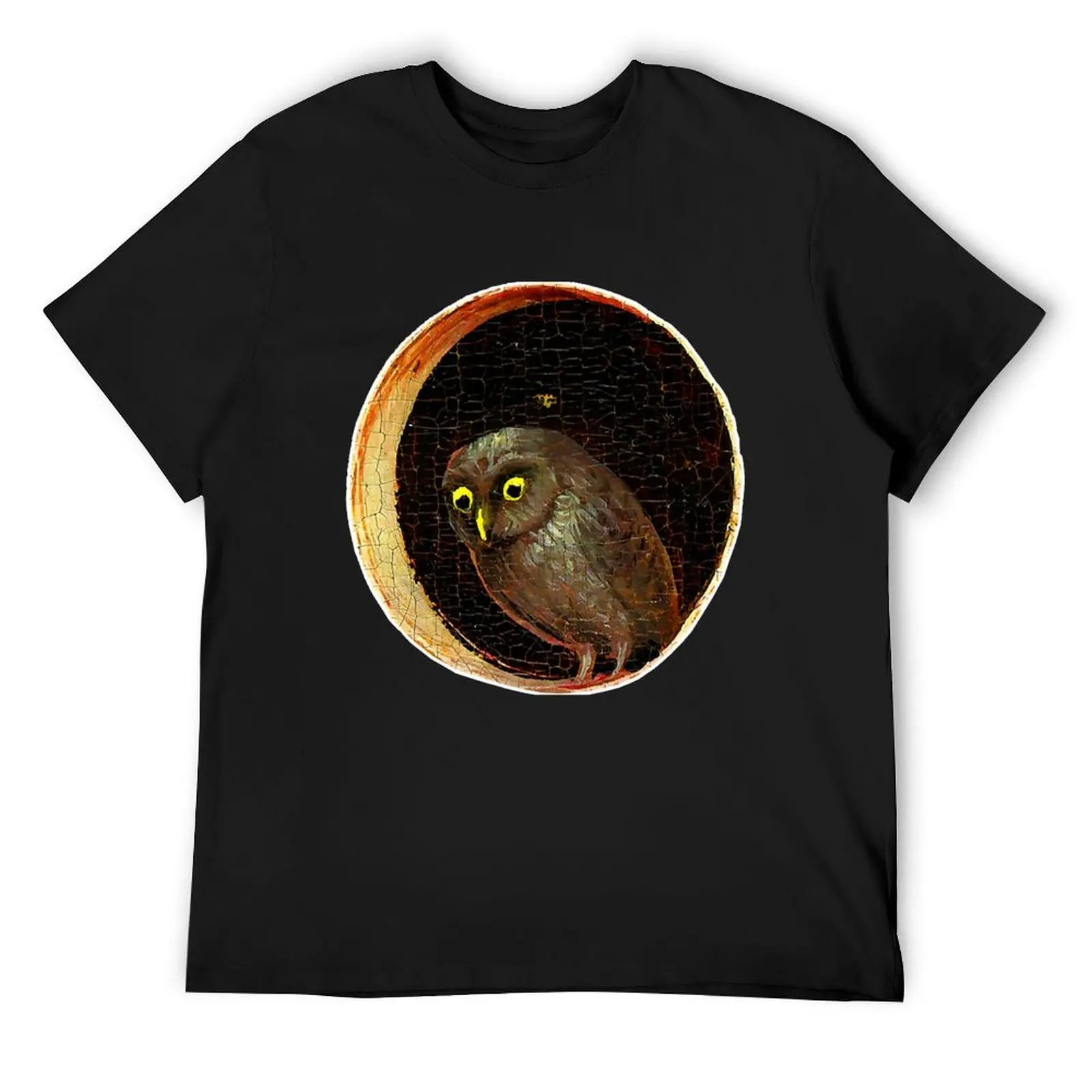 Hieronymus Bosch Owl Garden Of Earthly T-Shirt sports fans cotton man t-shirts graphic tee shirt plain t shirts men
Hieronymus Bosch Owl Garden Of Earthly T-Shirt sports fans cotton man t-shirts graphic tee shirt plain t shirts men