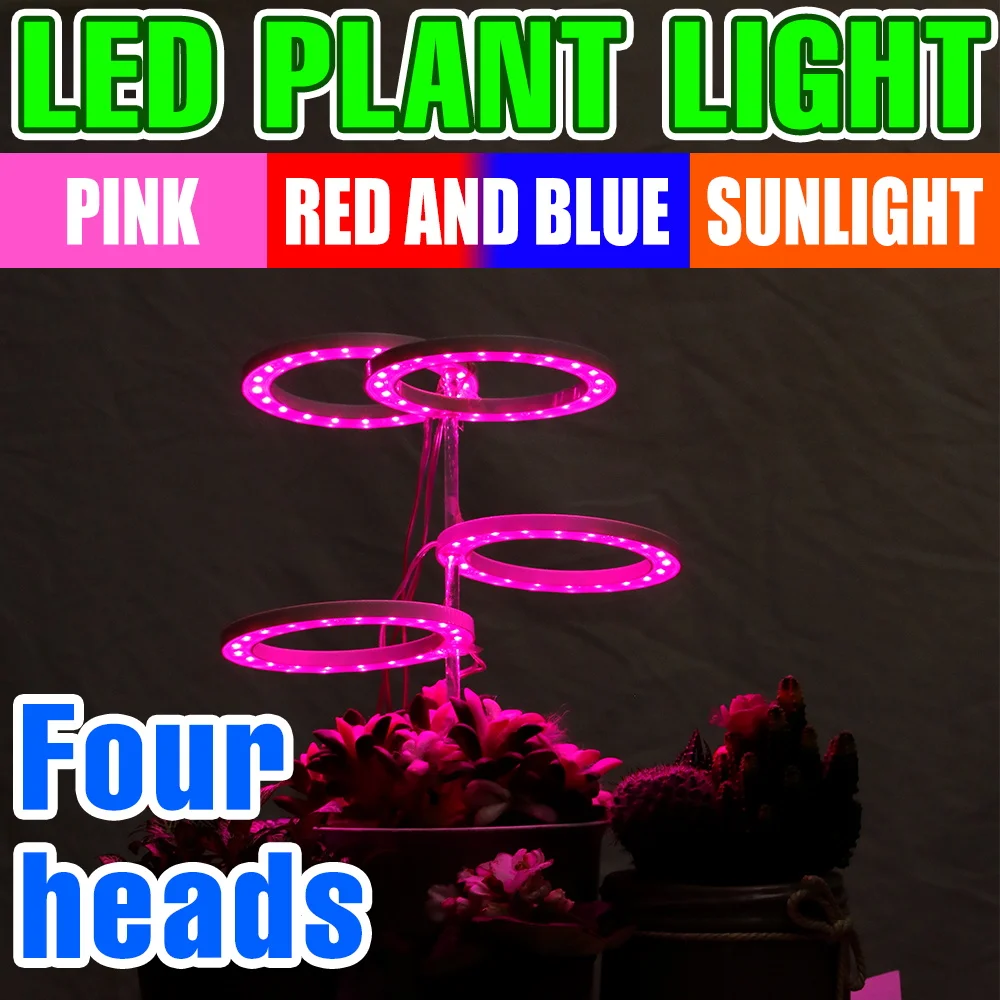LED Grow Light Full Spectrum USB Plant Lamp 5V Indoor Seeding Potted Succulent Cactus Fill Lighting Dimmable With 24 Hour Timing
LED Grow Light Full Spectrum USB Plant Lamp 5V Indoor Seeding Potted Succulent Cactus Fill Lighting Dimmable With 24 Hour Timing