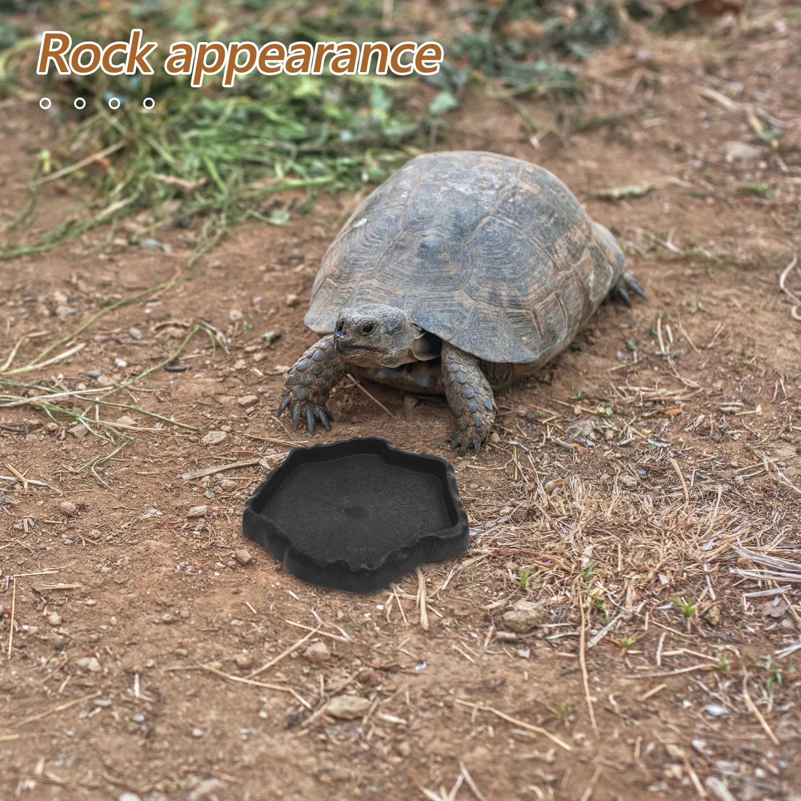Natural Rock Reptile Feeder Bowl Multifunctional Water and Food Dish for Tortoise Lizard Bearded Dragon Terrarium Feeding Tray
Natural Rock Reptile Feeder Bowl Multifunctional Water and Food Dish for Tortoise Lizard Bearded Dragon Terrarium Feeding Tray