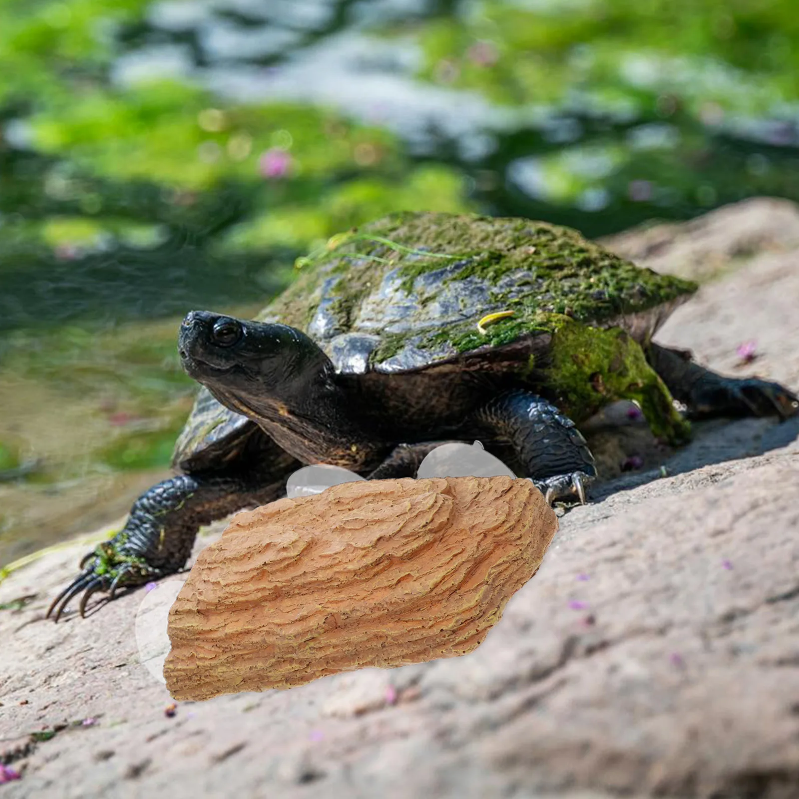 Turtle Basking Platform Resin Durable Stable Natural Texture Climbing Resting Ramp Sunbathing Dock Turtle Tank Decorations 
Turtle Basking Platform Resin Durable Stable Natural Texture Climbing Resting Ramp Sunbathing Dock Turtle Tank Decorations