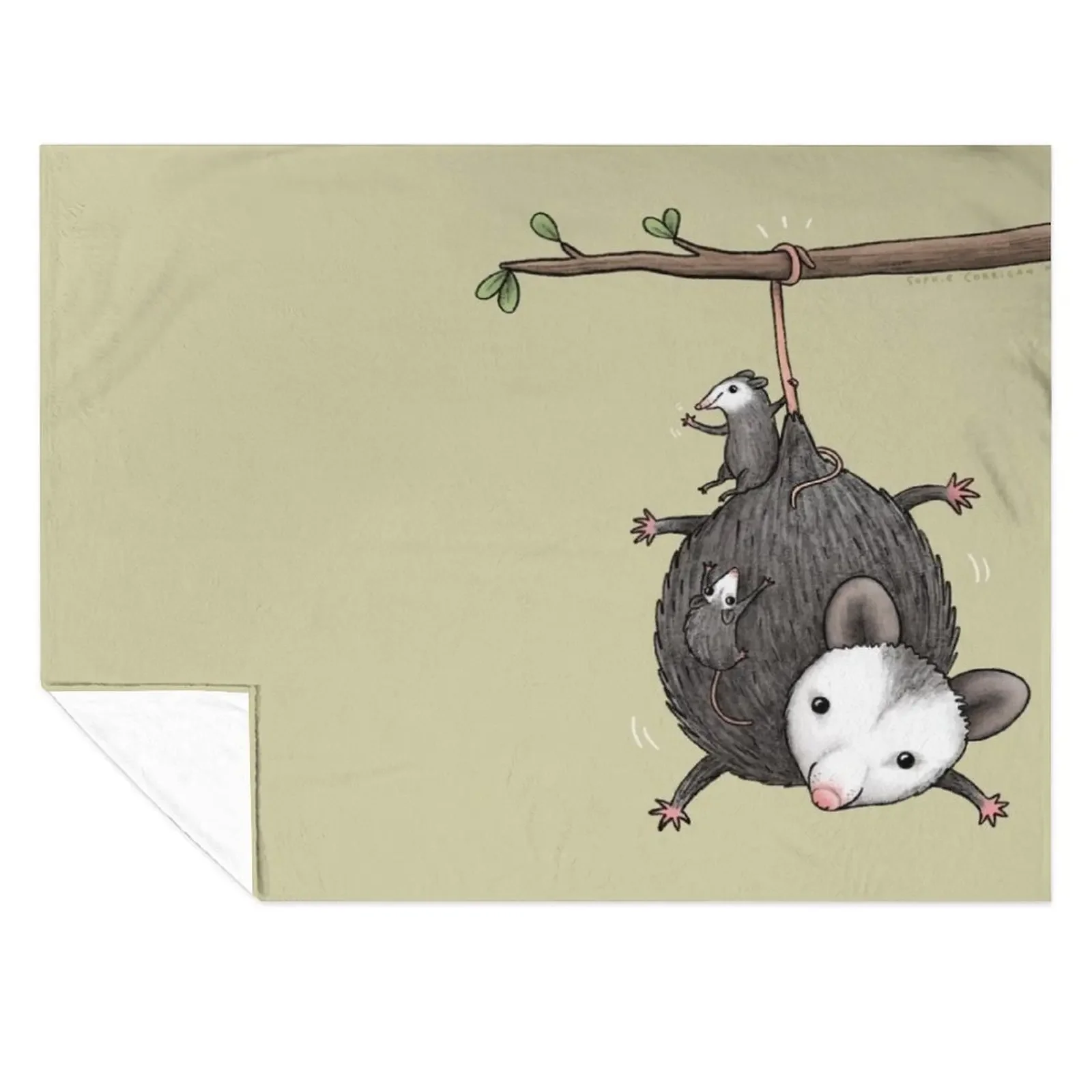 Opossum Family Throw Blanket heavy to sleep Sleeping Bag Decorative Throw bed plaid Blankets
Opossum Family Throw Blanket heavy to sleep Sleeping Bag Decorative Throw bed plaid Blankets