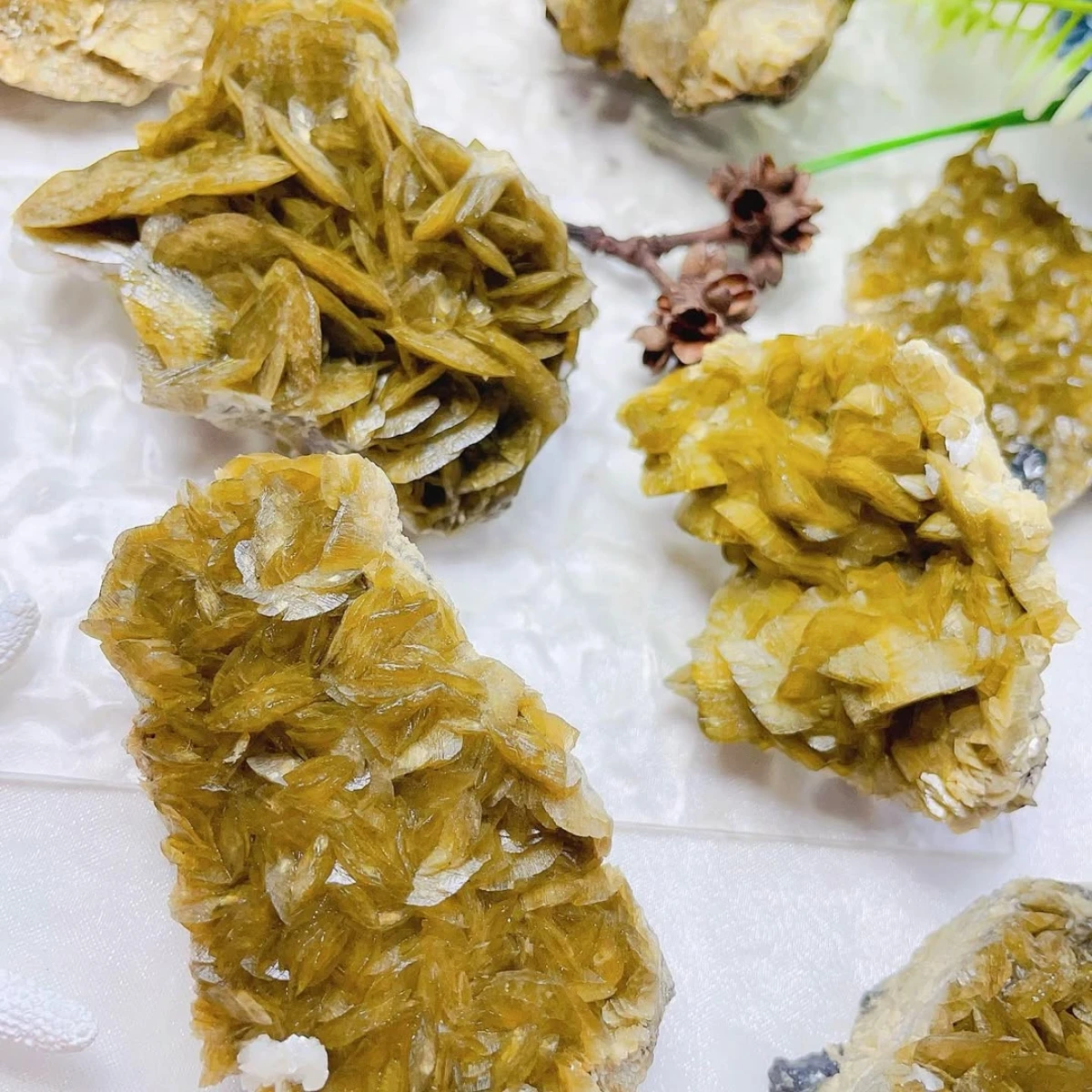 1pc Iridescent Golde Siderite Crystal Specimen, Siderite Crystal Cluster, Home Decor, Irregular Crack Pattern, Holiday Gift
1pc Iridescent Golde Siderite Crystal Specimen, Siderite Crystal Cluster, Home Decor, Irregular Crack Pattern, Holiday Gift