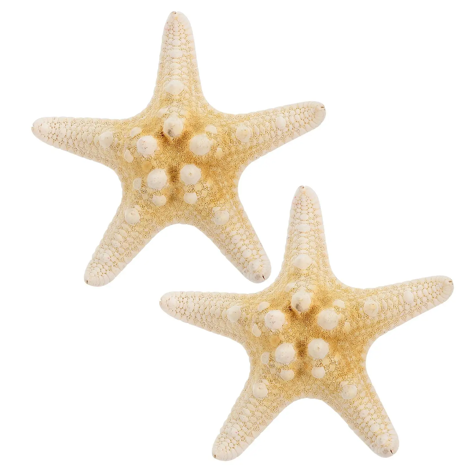 2Pcs Hairpin Natural Sea Star Bridal Clip Resin Women Prom Beach Style Hair Decor
2Pcs Hairpin Natural Sea Star Bridal Clip Resin Women Prom Beach Style Hair Decor