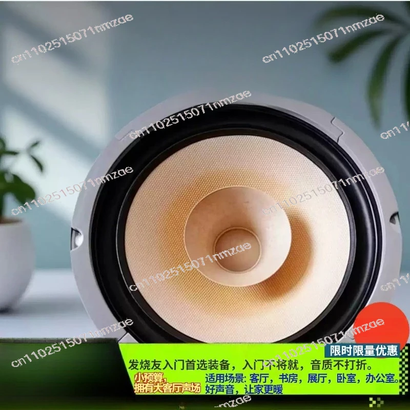 40-80W 8 Ohm Loudspeaker Woofer (1 Pair) F6 6.5 Inch Full Range Speaker Driver
40-80W 8 Ohm Loudspeaker Woofer (1 Pair) F6 6.5 Inch Full Range Speaker Driver