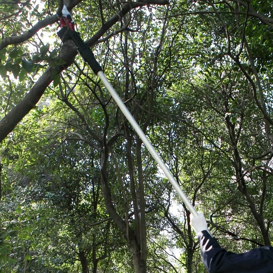 Long Length Powerful Electric Pruning Shear and Professional Garden Tool
Long Length Powerful Electric Pruning Shear and Professional Garden Tool