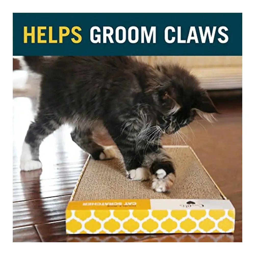 Cat Scratcher NorthAmerican Grown Catnip Included Reversible For Twice The Use 18.13 X 10.13 X 1.25
Cat Scratcher NorthAmerican Grown Catnip Included Reversible For Twice The Use 18.13 X 10.13 X 1.25