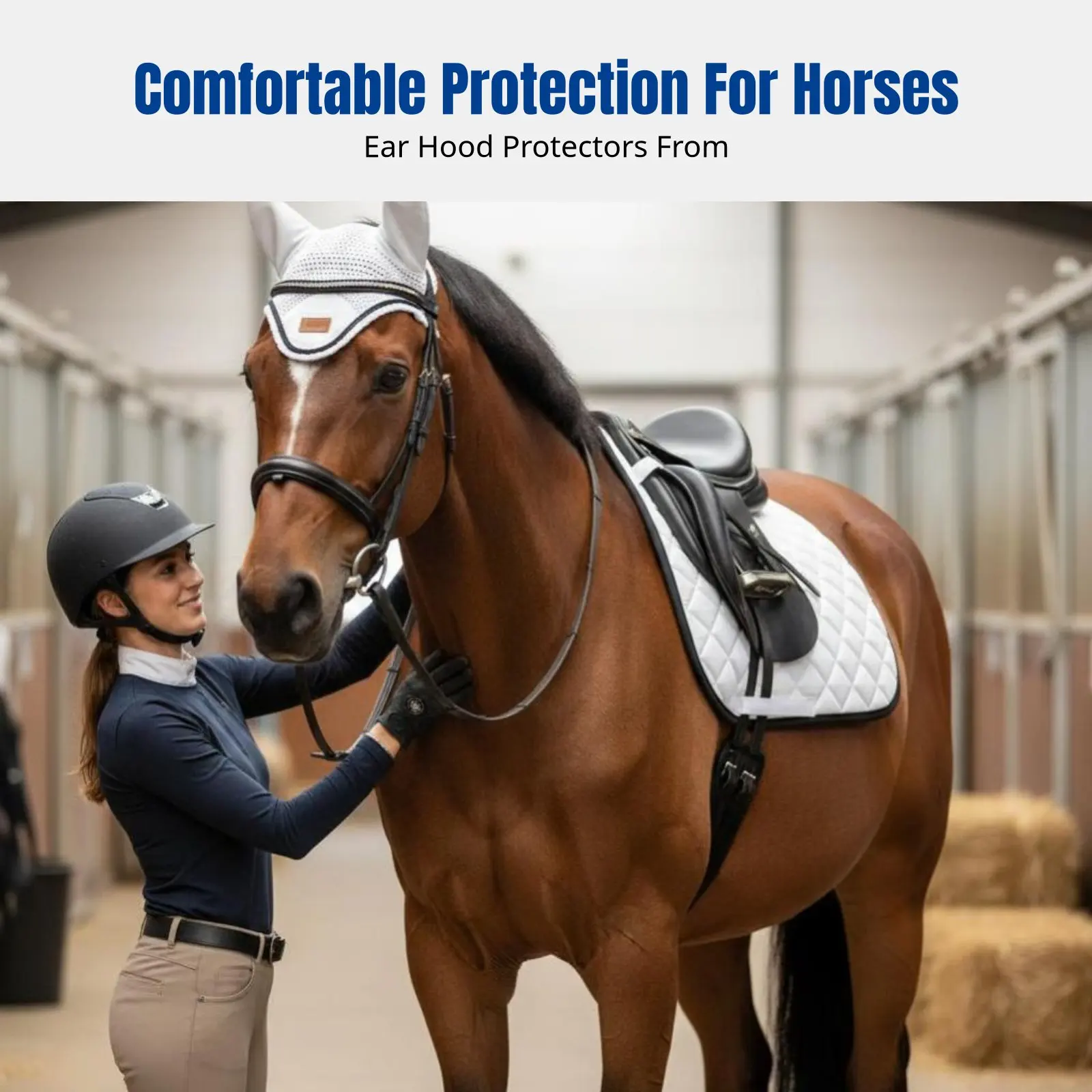 English Horse Saddle Pad and Ear Cover Set, Quilted Sweat Pad, Fly Cover, Equestrian Riding Accessories
English Horse Saddle Pad and Ear Cover Set, Quilted Sweat Pad, Fly Cover, Equestrian Riding Accessories