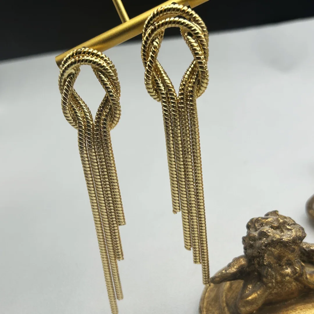 Vintage Retro Niche Long Tassel Earrings Exaggerated Elegant High-end Feel Copper Gold-plated 925 Needle
Vintage Retro Niche Long Tassel Earrings Exaggerated Elegant High-end Feel Copper Gold-plated 925 Needle