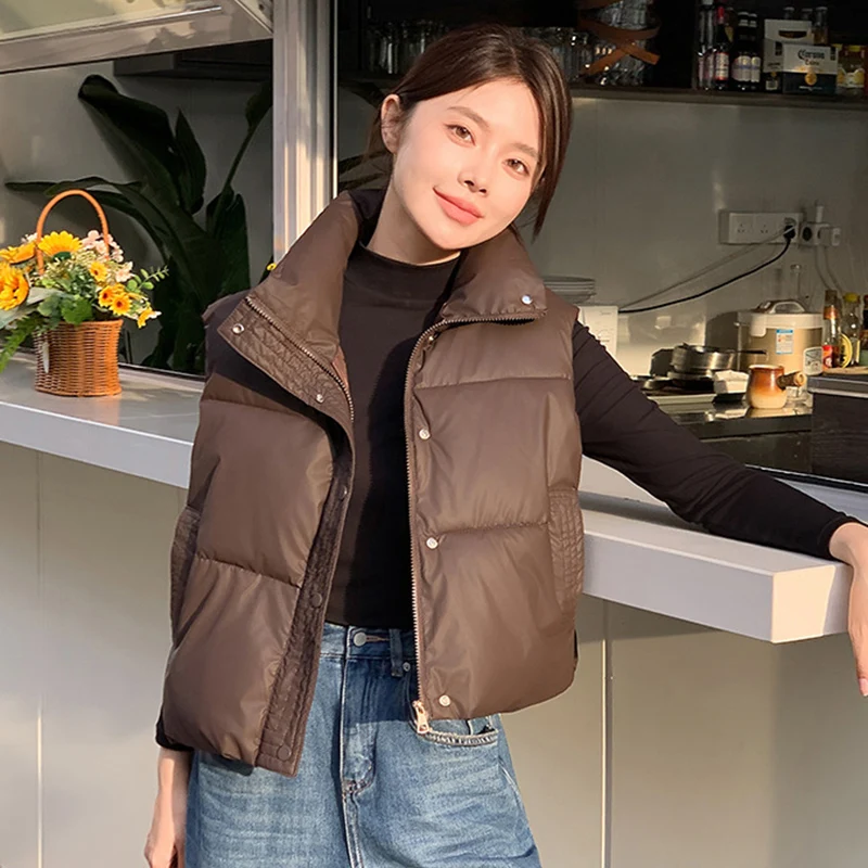 Осенне-зимние короткие парки без рукавов, женская мода, хлопковый жилет с воротником-стойкой, корейский ветрозащитный теплый жилет на молнии, куртка
Осенне-зимние короткие парки без рукавов, женская мода, хлопковый жилет с воротником-стойкой, корейский ветрозащитный теплый жилет на молнии, куртка