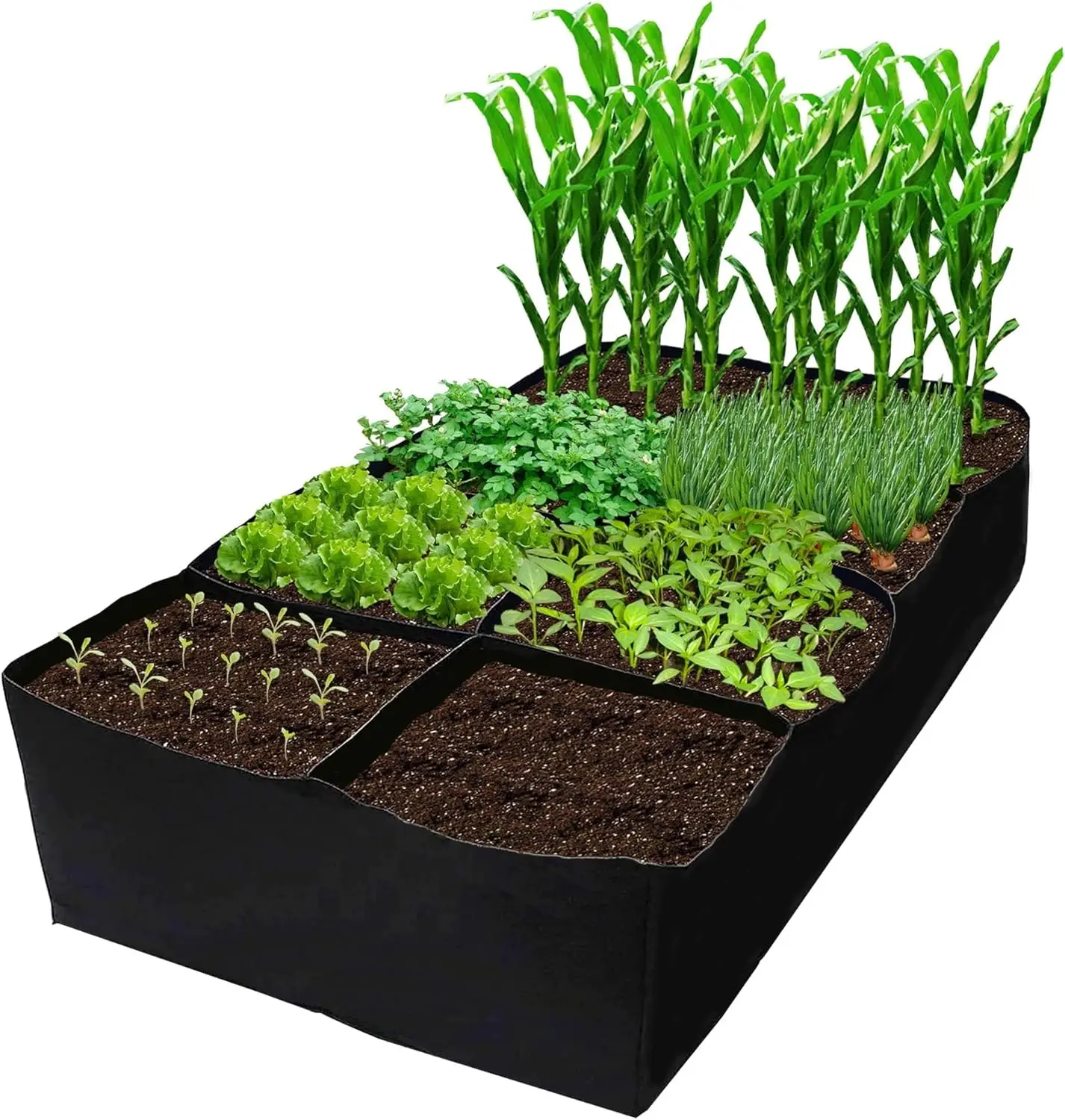 Fabric Raised Garden Bed 6x3x1ft Garden Grow Bed Bags for Growing Herbs, Flowers and Vegetables 128 Gallon
Fabric Raised Garden Bed 6x3x1ft Garden Grow Bed Bags for Growing Herbs, Flowers and Vegetables 128 Gallon