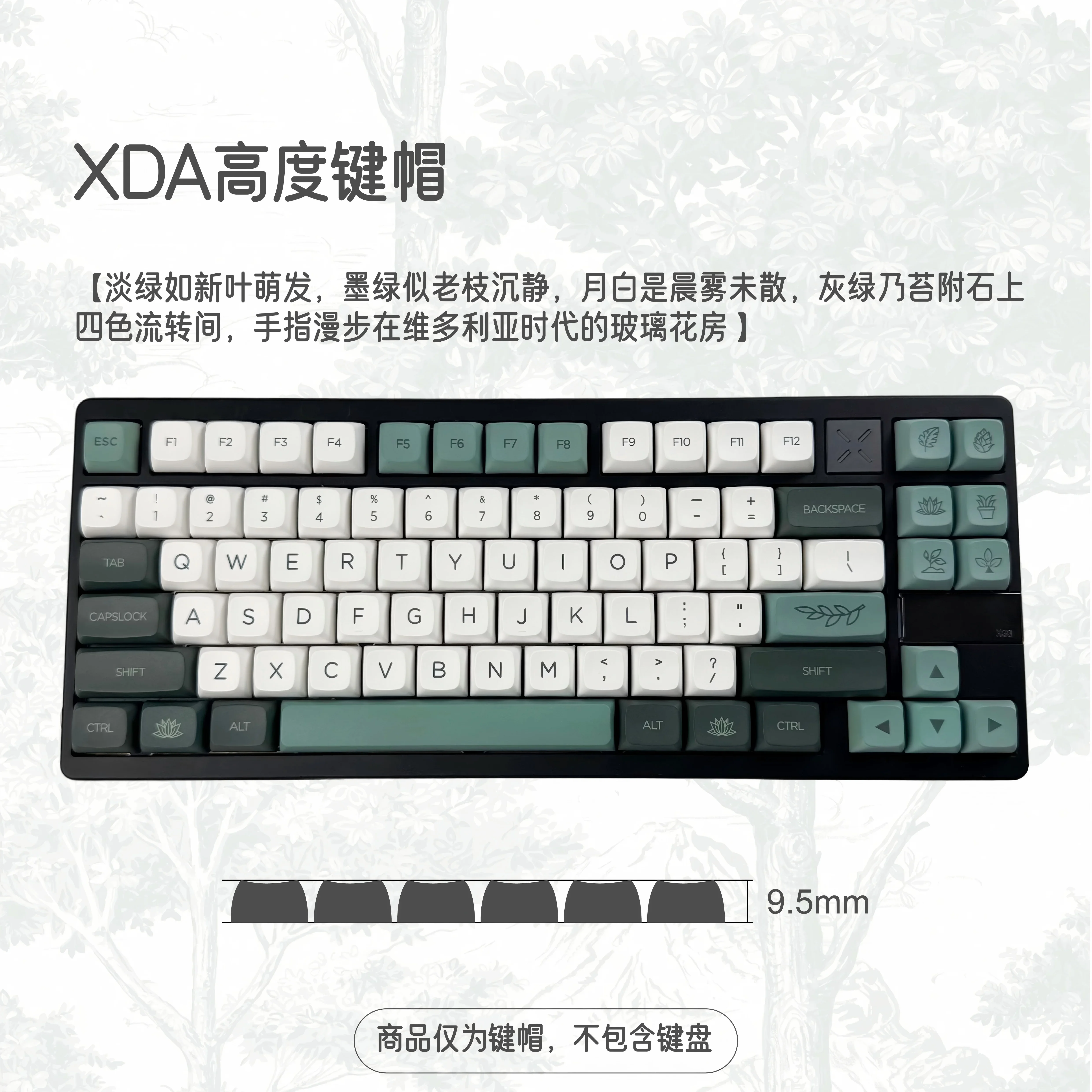 Botanical Garden - Theme Keycap XDA Height PBT Keycap Five-sided Sublimation E-sports Customized Full Set
Botanical Garden - Theme Keycap XDA Height PBT Keycap Five-sided Sublimation E-sports Customized Full Set