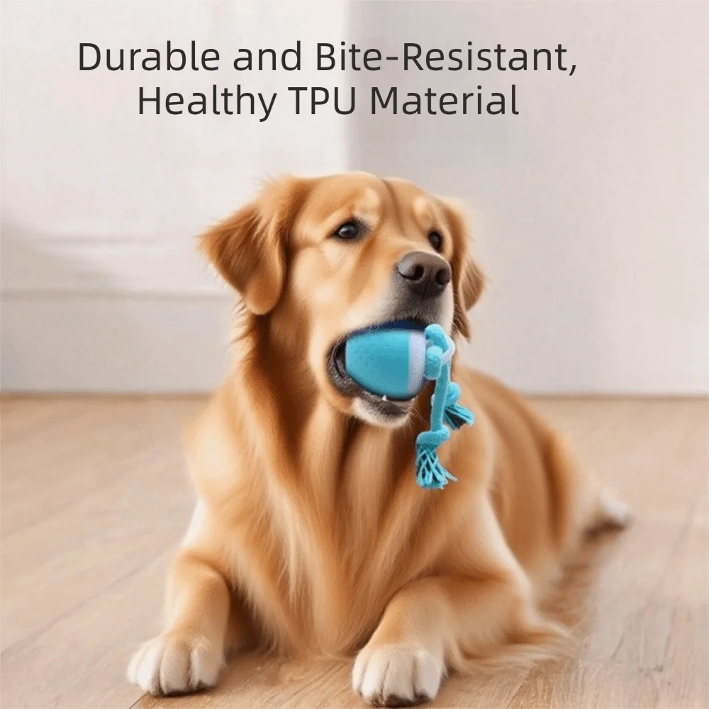 Устойчивый к укусам умный интерактивный мяч для собак с произвольным движением, USB-зарядкой и веревкой, электронная игрушка для жевания и игр
Устойчивый к укусам умный интерактивный мяч для собак с произвольным движением, USB-зарядкой и веревкой, электронная игрушка для жевания и игр