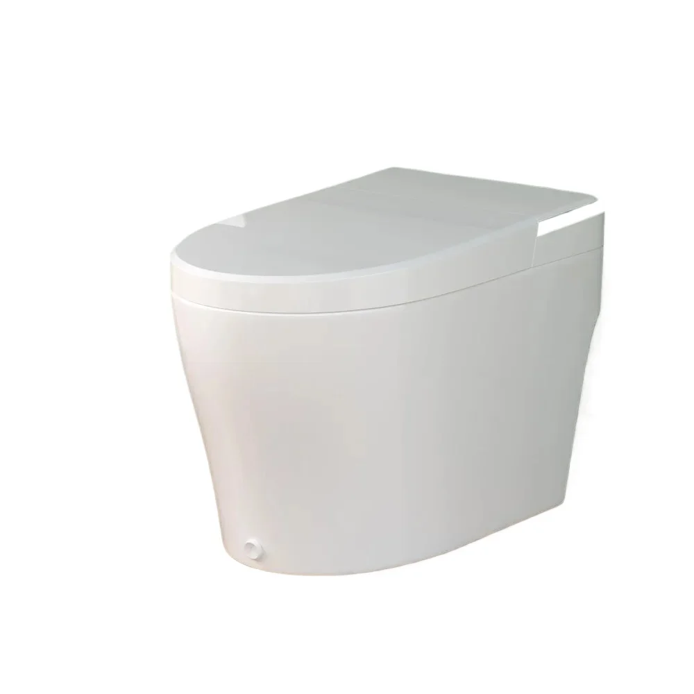 Smart toilet, no water tank, with seat, automatic flushing, foot pedal, warm water, heated seat, remote control
Smart toilet, no water tank, with seat, automatic flushing, foot pedal, warm water, heated seat, remote control