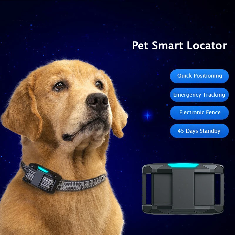 High Quality Pet Smart Tracker 5G Pet Finder Waterproof Dog Gps Tracker Collar With App
High Quality Pet Smart Tracker 5G Pet Finder Waterproof Dog Gps Tracker Collar With App