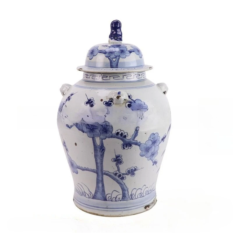 Blue and white porcelain Chinese style, lion general jar, antique, home, homestay, fighting color flower arrangement
Blue and white porcelain Chinese style, lion general jar, antique, home, homestay, fighting color flower arrangement