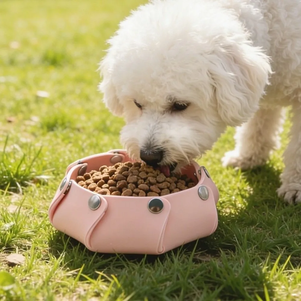 Silicone Pet Foldable Bowl Anti-Spill Snap On Cat Water Bowl Hexagonal Tray Detachable Pet Feeding Bowl Desktop Organization
Silicone Pet Foldable Bowl Anti-Spill Snap On Cat Water Bowl Hexagonal Tray Detachable Pet Feeding Bowl Desktop Organization