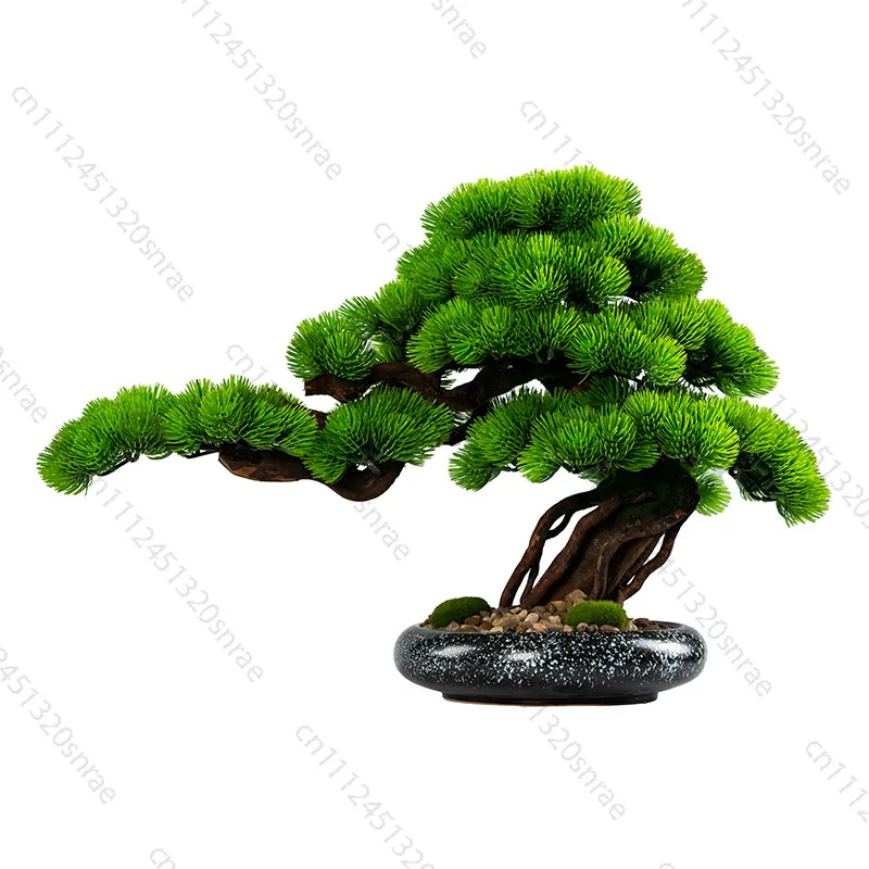 Lucky Simulation Welcome Pine Ornament Coffee Table Living Room Shengcai Creative Home Decoration Office Desktop Opening Gifts
Lucky Simulation Welcome Pine Ornament Coffee Table Living Room Shengcai Creative Home Decoration Office Desktop Opening Gifts