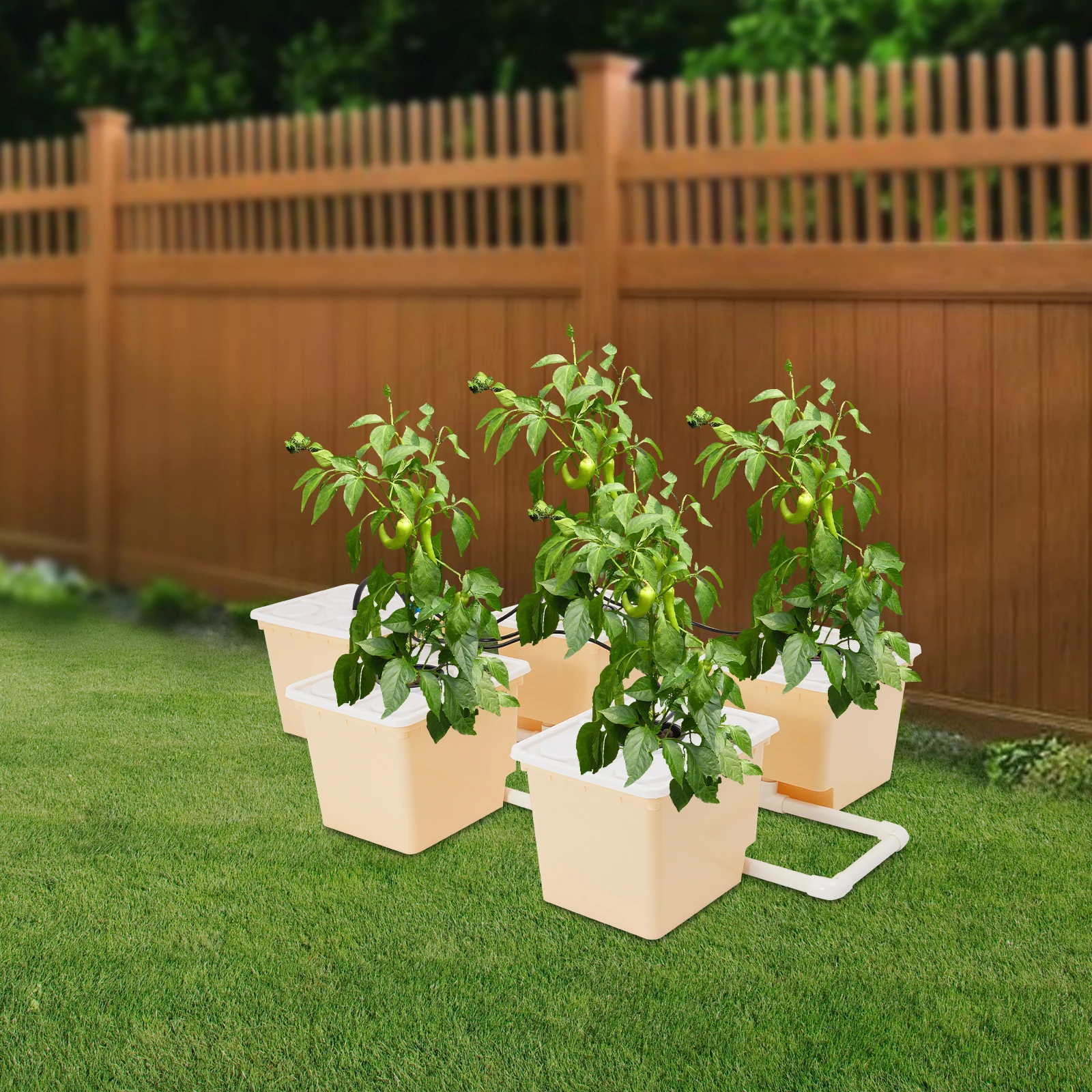 5-Box Deep Water Culture Hydroponics Kit, 11L Dutch Bucket Drip Irrigation System W/ Lid, Ideal for Indoor Outdoor Plant Growing 
5-Box Deep Water Culture Hydroponics Kit, 11L Dutch Bucket Drip Irrigation System W/ Lid, Ideal for Indoor Outdoor Plant Growing