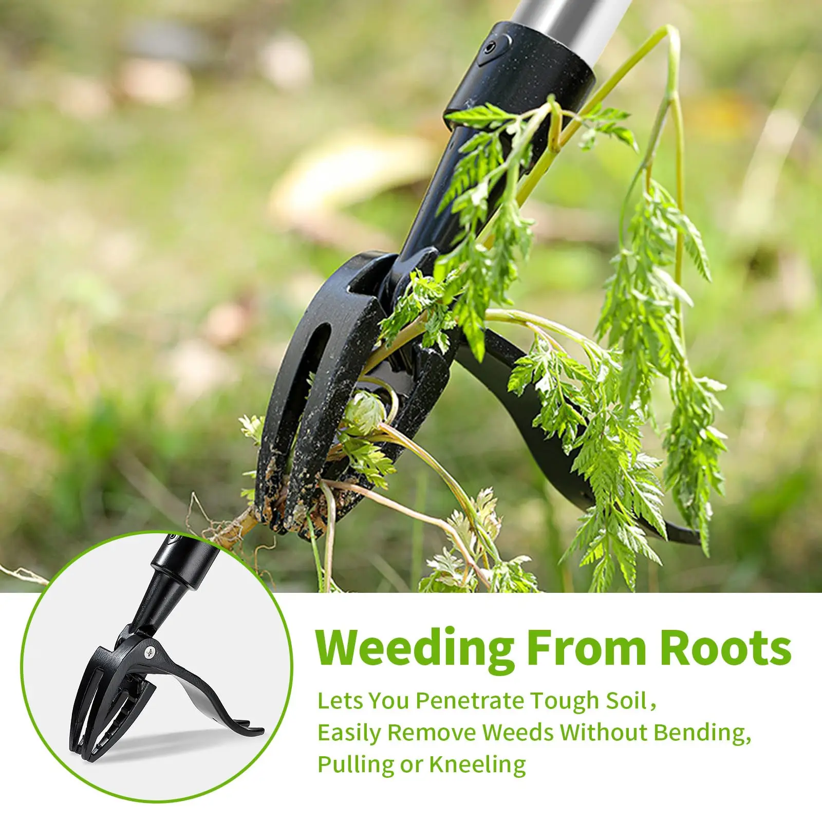 4-Prong Weeder with Long Handle,Durable Stainless Steel, Ergonomic Grip for Easy Weeding, No Bending or Kneeling Needed
4-Prong Weeder with Long Handle,Durable Stainless Steel, Ergonomic Grip for Easy Weeding, No Bending or Kneeling Needed