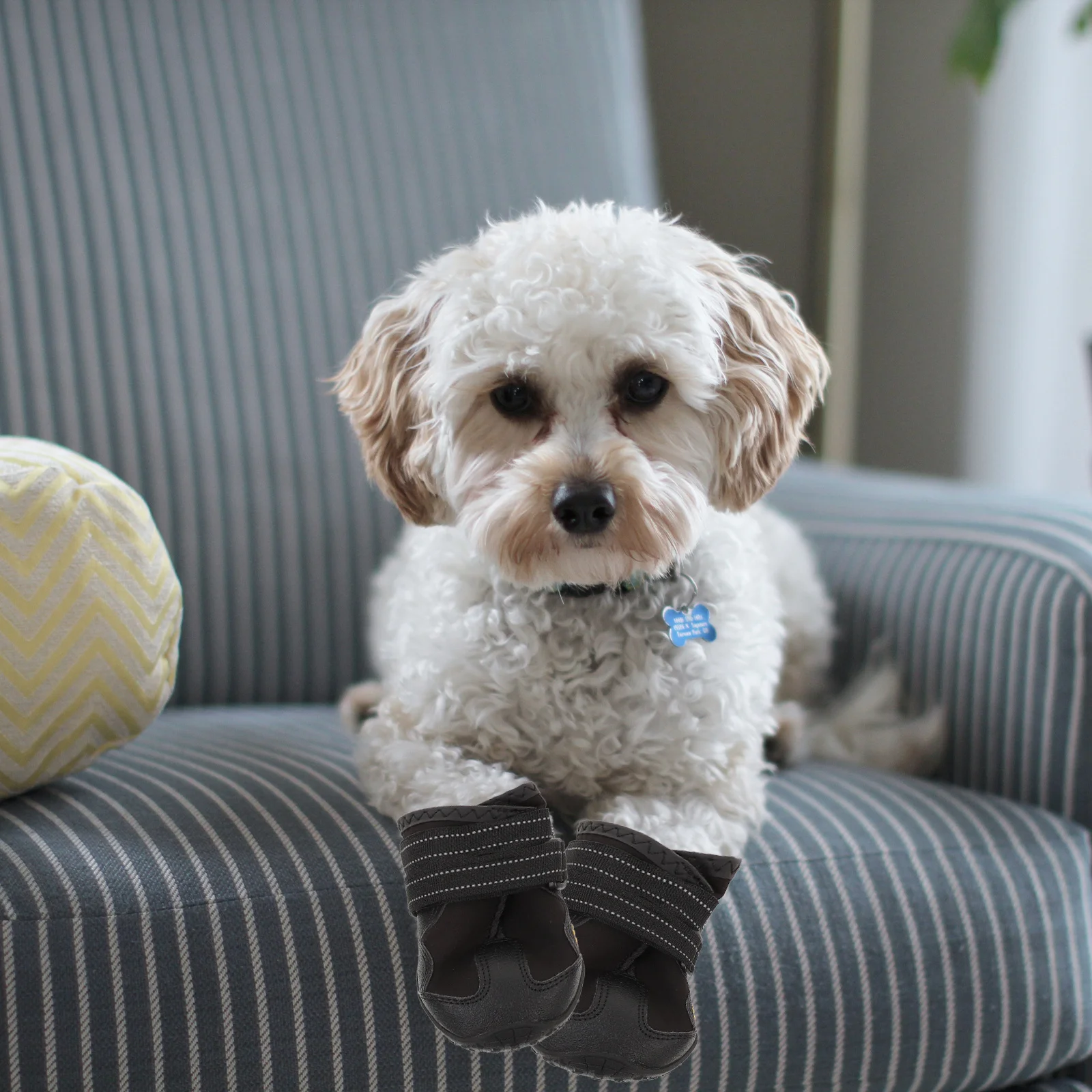 4Pcs Waterproof Snow Boots Winter Pet Dog Puppy Casual Anti Slip Hiking Running Shoes Protect Paws Dry Warm Size 6 Black
4Pcs Waterproof Snow Boots Winter Pet Dog Puppy Casual Anti Slip Hiking Running Shoes Protect Paws Dry Warm Size 6 Black