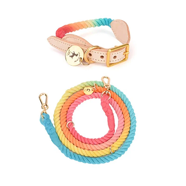 High Quality Pet Dog Collars Luxury Braided Cotton Woven Large Pet Dog Collar with Double Dog Leash
High Quality Pet Dog Collars Luxury Braided Cotton Woven Large Pet Dog Collar with Double Dog Leash