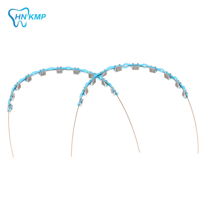 2Pcs/Pack Colorful Hook Temporary Tooth Decoration With Metal Wires Metal Bracket Orthodontic Ligature Ties Dental Decorations
2Pcs/Pack Colorful Hook Temporary Tooth Decoration With Metal Wires Metal Bracket Orthodontic Ligature Ties Dental Decorations