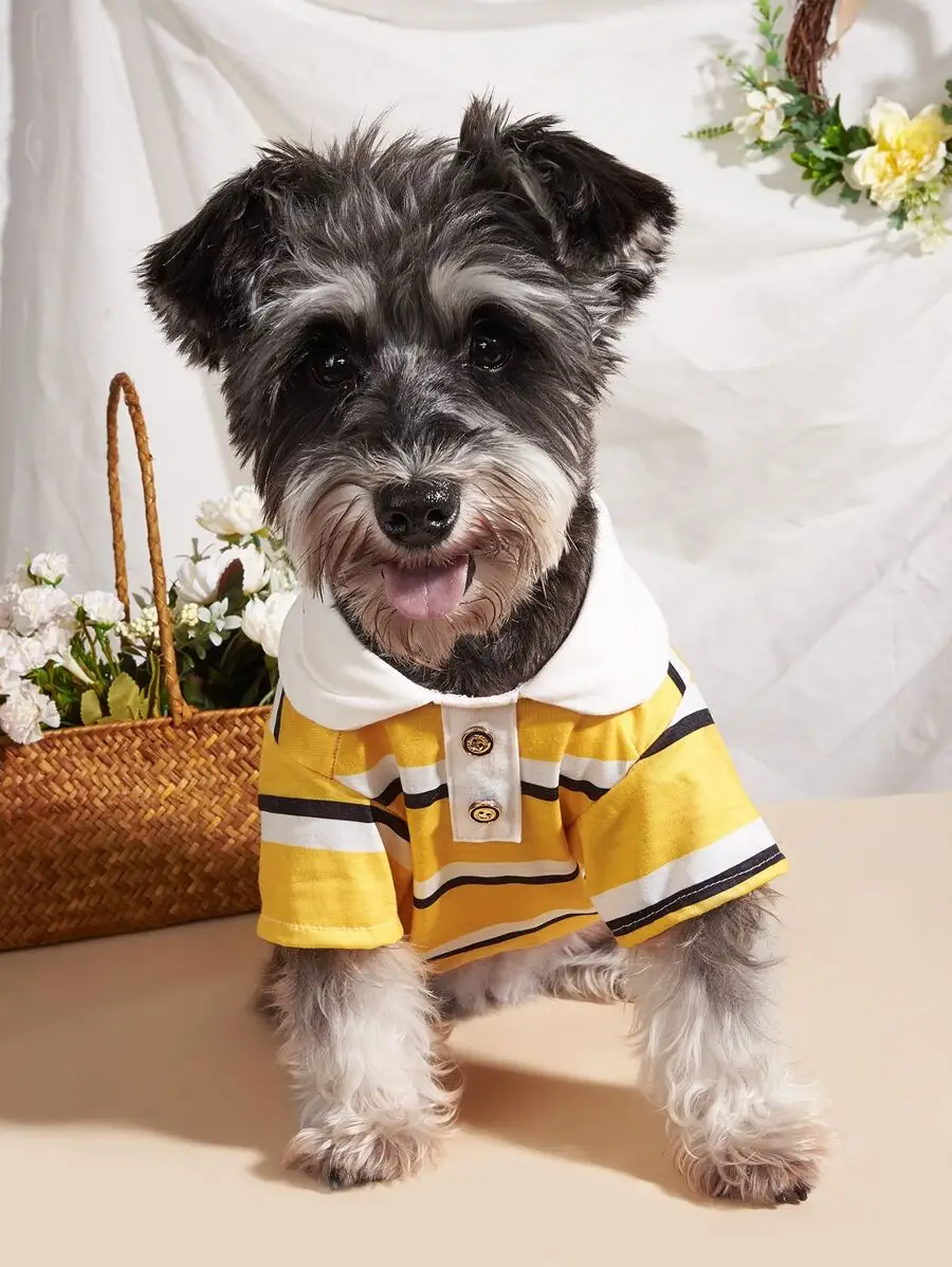 1pc New Pet Clothes, Ins Style Dog Polo Shirt, Cat Apparel
1pc New Pet Clothes, Ins Style Dog Polo Shirt, Cat Apparel