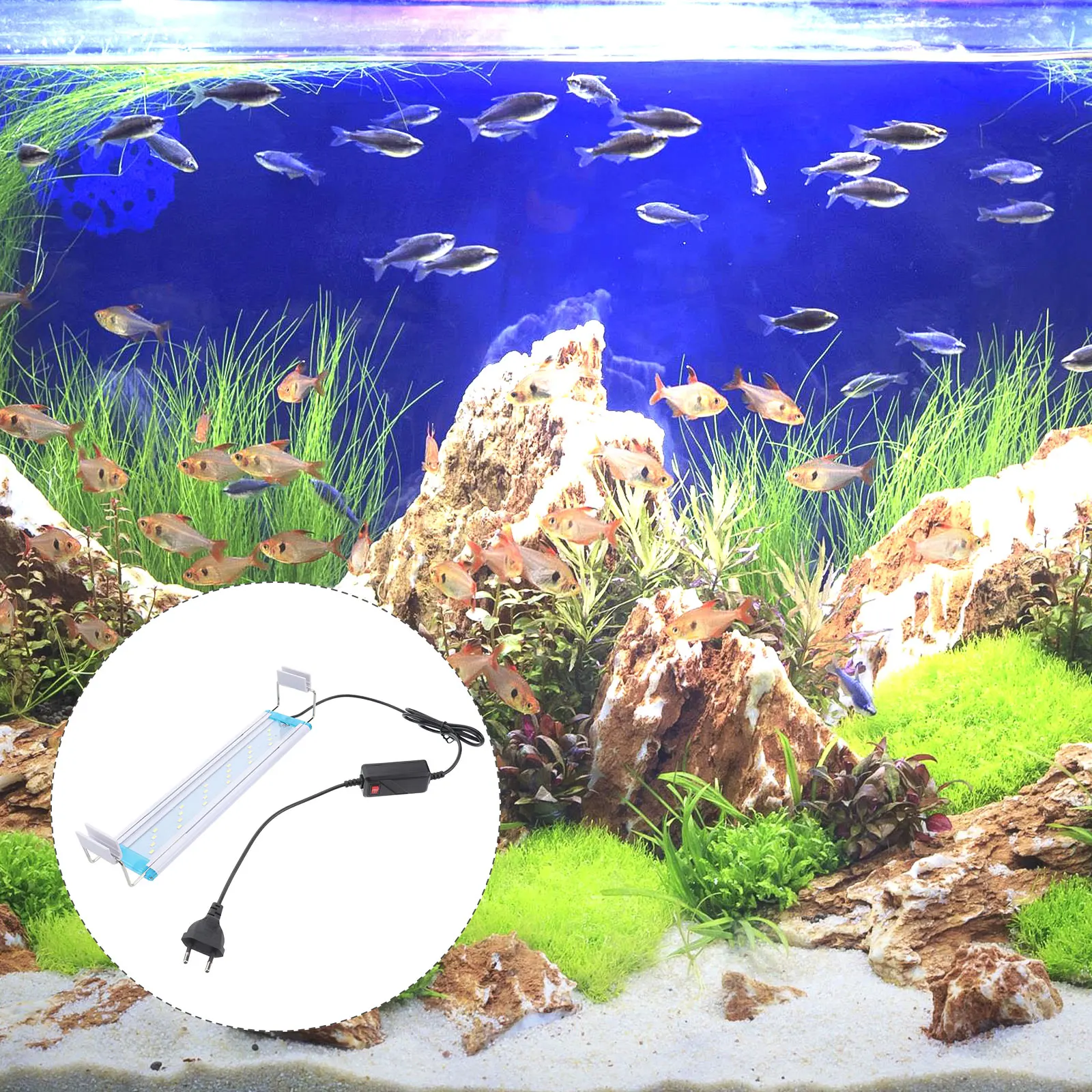 Fish Tank LED Light 28cm Pure Lamp for Aquatic Plant Aquarium Ecological L scape High Brightness LED Beads Long
Fish Tank LED Light 28cm Pure Lamp for Aquatic Plant Aquarium Ecological L scape High Brightness LED Beads Long