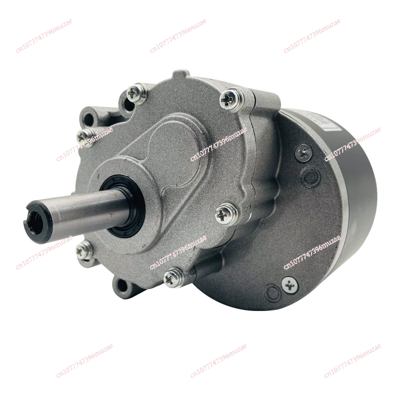 DC brushed low-speed two-stage deceleration electric vehicle motor 24V250W wheelchair motor 120/75 rpm
DC brushed low-speed two-stage deceleration electric vehicle motor 24V250W wheelchair motor 120/75 rpm