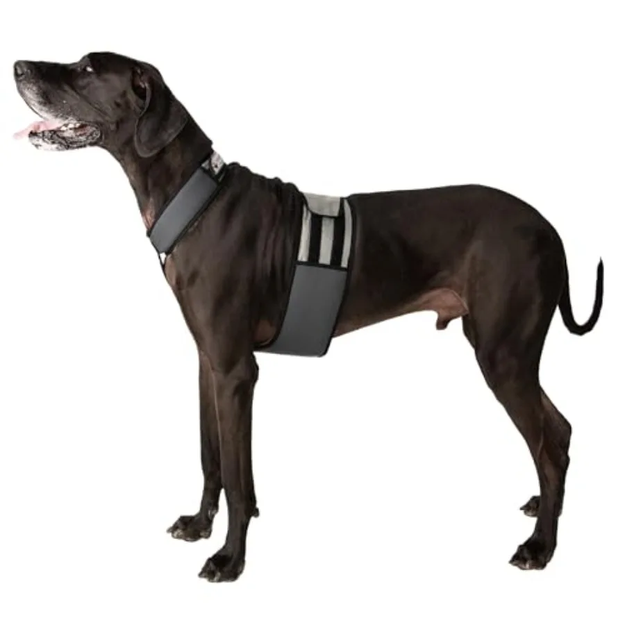 Охлаждающий ветеринарный ошейник Dog Cooing Vet и Cooing Coar Ice Vet для жаркой погоды, для снятия жары, многоразовый, с чистой водой, очень большой размер, 34-40 дюймов по обхвату
Охлаждающий ветеринарный ошейник Dog Cooing Vet и Cooing Coar Ice Vet для жаркой погоды, для снятия жары, многоразовый, с чистой водой, очень большой размер, 34-40 дюймов по обхвату