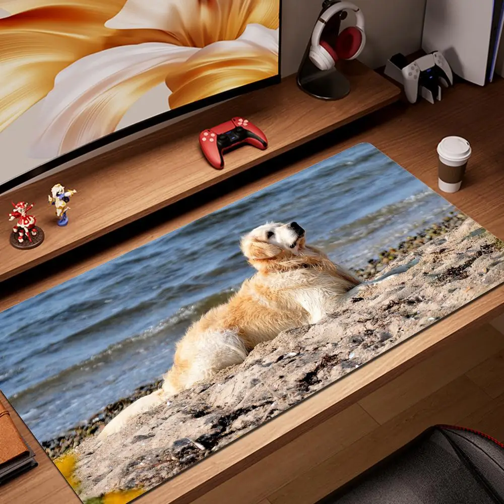 HD HYBXAXC Xxl Gaming Mouse Pad Golden Retriever Pc Accessories Laptop Gamer Backlit Mat Rgb Desk Carpet Computer Table Deskpad
HD HYBXAXC Xxl Gaming Mouse Pad Golden Retriever Pc Accessories Laptop Gamer Backlit Mat Rgb Desk Carpet Computer Table Deskpad