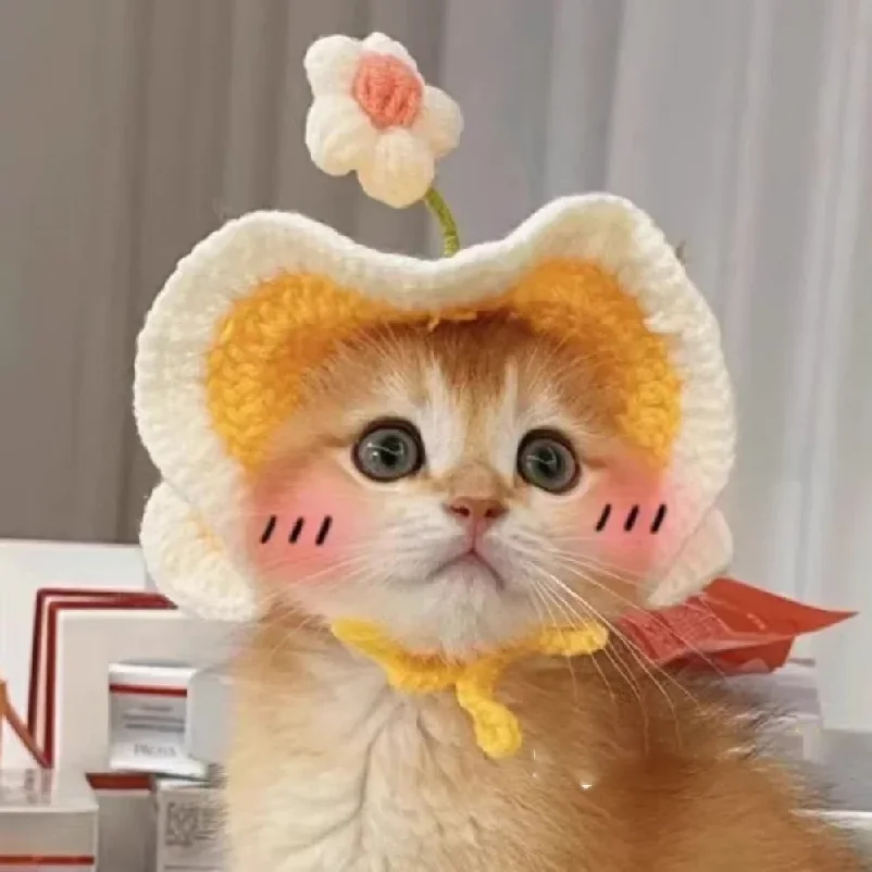 Pet Cat Hat Cute Refined Elastic Autumn Winter Funny Puppy Kitten Knitted Hat for Party Photo Shoot Props Decoration Accessories
Pet Cat Hat Cute Refined Elastic Autumn Winter Funny Puppy Kitten Knitted Hat for Party Photo Shoot Props Decoration Accessories