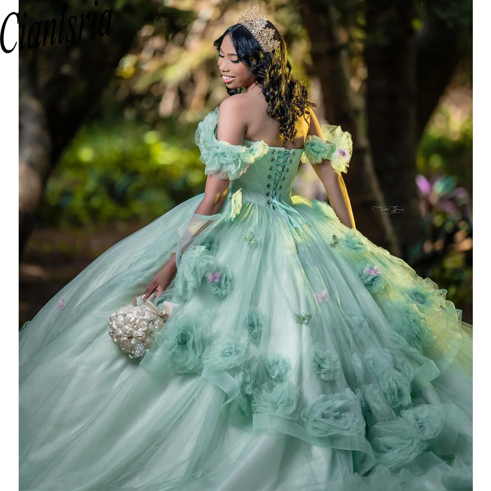 Green Customized Quinceanera Dresses Crytal Beading Lace Birthday Party Princess Gown Vestidos De 15 Anos Long Prom Gowns
Green Customized Quinceanera Dresses Crytal Beading Lace Birthday Party Princess Gown Vestidos De 15 Anos Long Prom Gowns