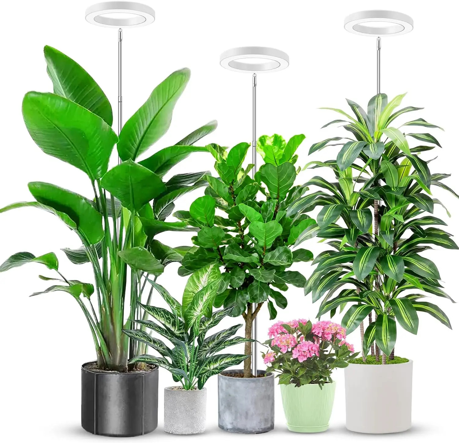 80 LED Full Spectrum Grow Light, Height Adjustable 10"-65", Auto Timer 6/12/16Hrs, 3 Modes, 3 Pack
80 LED Full Spectrum Grow Light, Height Adjustable 10"-65", Auto Timer 6/12/16Hrs, 3 Modes, 3 Pack