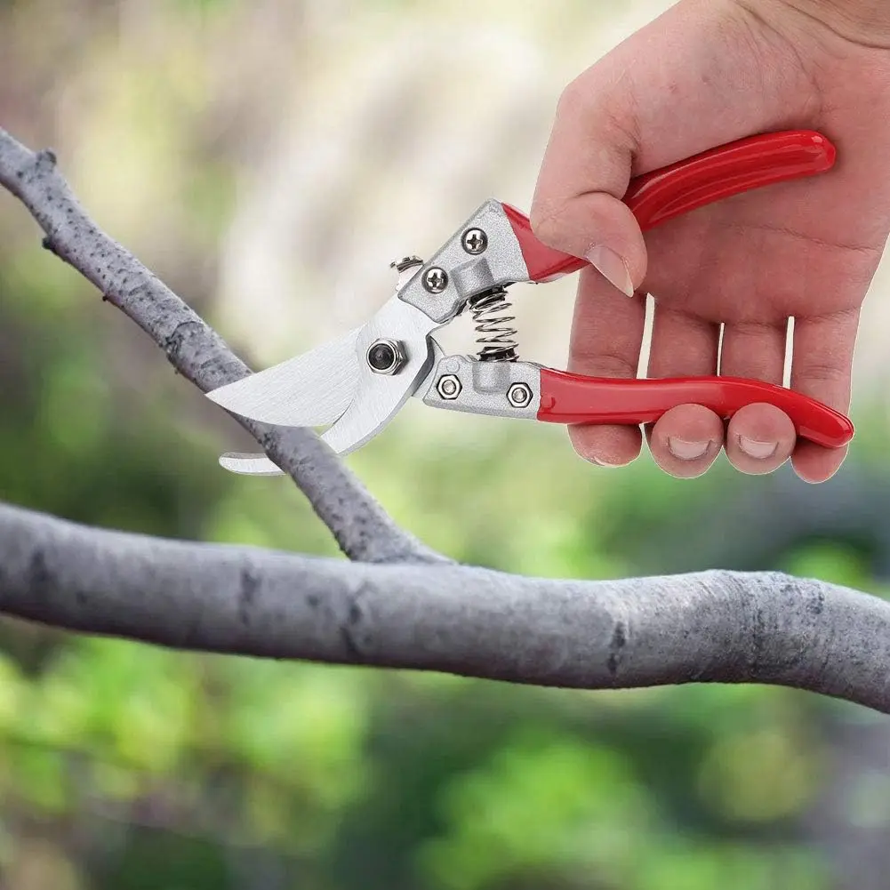 11in Garden Agricultural Red Pruning Shears High-Carbon Steel Reusable Heavy Duty and Durables Portable Fruit Tree Branch Trimmi
11in Garden Agricultural Red Pruning Shears High-Carbon Steel Reusable Heavy Duty and Durables Portable Fruit Tree Branch Trimmi