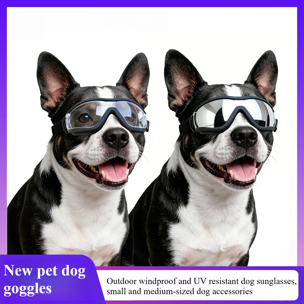 New Pet Dog Goggles Outdoor Windproof UV Resistant SunglassesSmall Medium-sized Accessories dog supplies
New Pet Dog Goggles Outdoor Windproof UV Resistant SunglassesSmall Medium-sized Accessories dog supplies