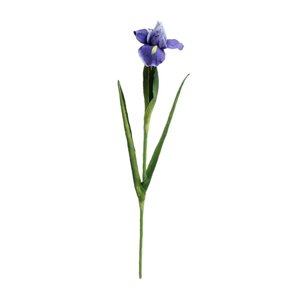 Artificial Iris Flower Simulation Wedding Decor Faux Iris PU Material Plastic Stem Iron Wire Bending No
Artificial Iris Flower Simulation Wedding Decor Faux Iris PU Material Plastic Stem Iron Wire Bending No