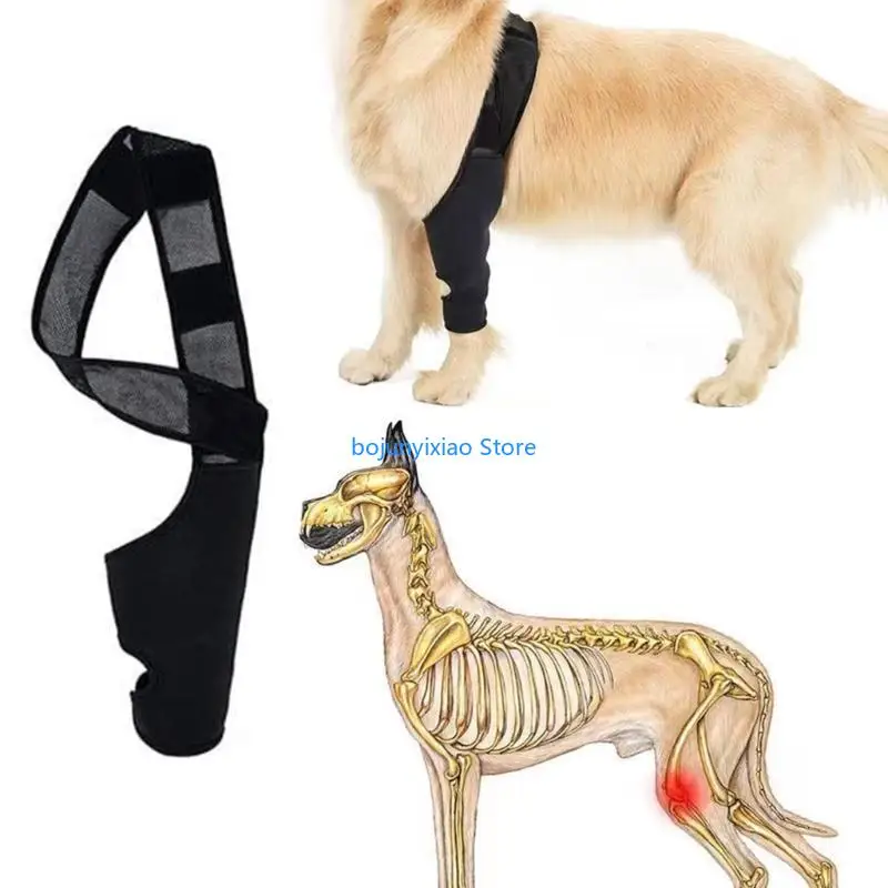 900B Adjustable Dog Thigh Brace Pet Knee Brace Protector for Thigh Leg Pet Recovery Sleeve for Canine Thigh Leg Strap Support
900B Adjustable Dog Thigh Brace Pet Knee Brace Protector for Thigh Leg Pet Recovery Sleeve for Canine Thigh Leg Strap Support