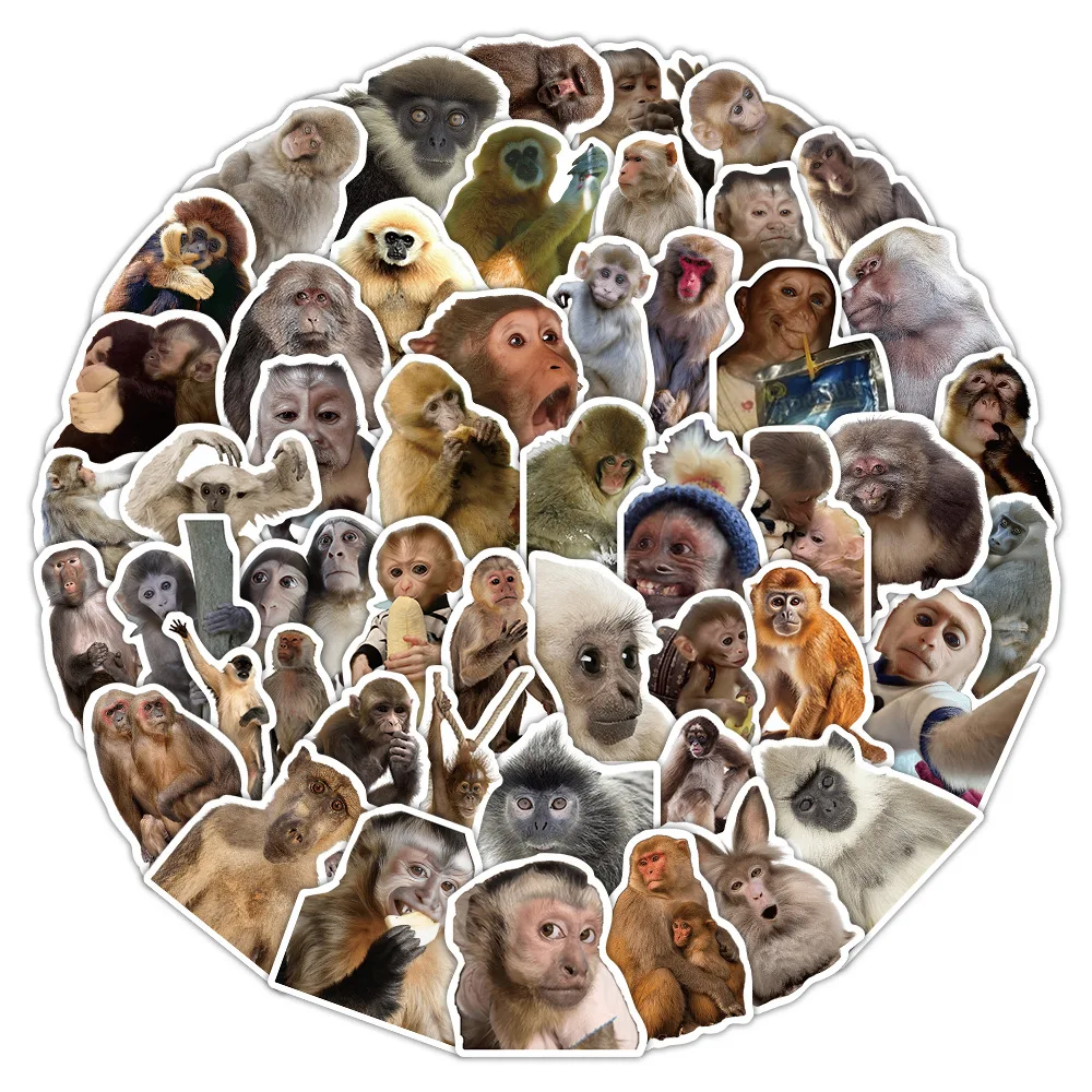10/50PCS Realistic Monkey Stickers Forest Animals Funny DIY Water Cup Phone Case Stationery Box Waterproof Decal Toy
10/50PCS Realistic Monkey Stickers Forest Animals Funny DIY Water Cup Phone Case Stationery Box Waterproof Decal Toy