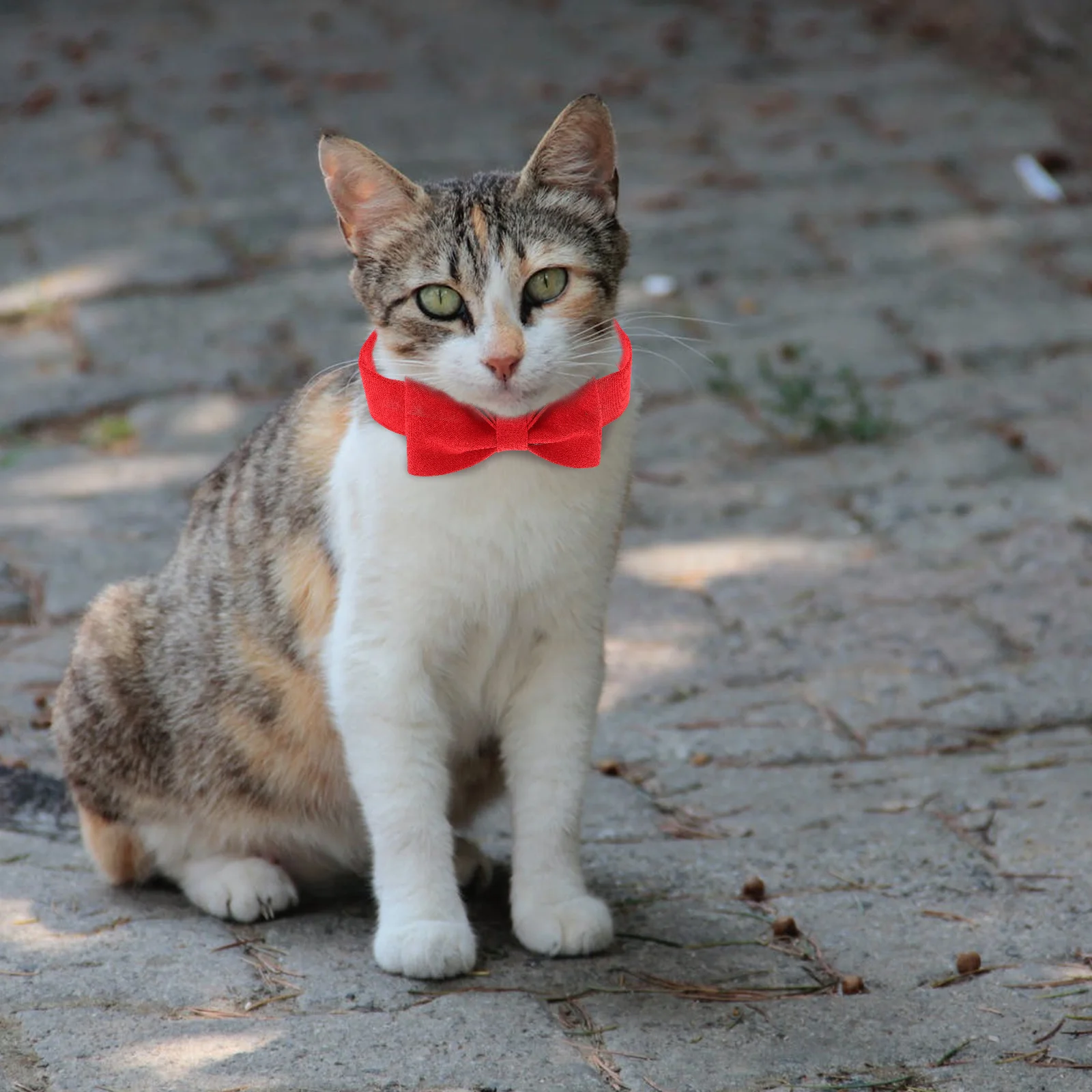 Pet Bow Tie Dog Collar Adjustable Costume Accessories for Photo Shoots Dog Bow Tie Decorative Chic Design
Pet Bow Tie Dog Collar Adjustable Costume Accessories for Photo Shoots Dog Bow Tie Decorative Chic Design
