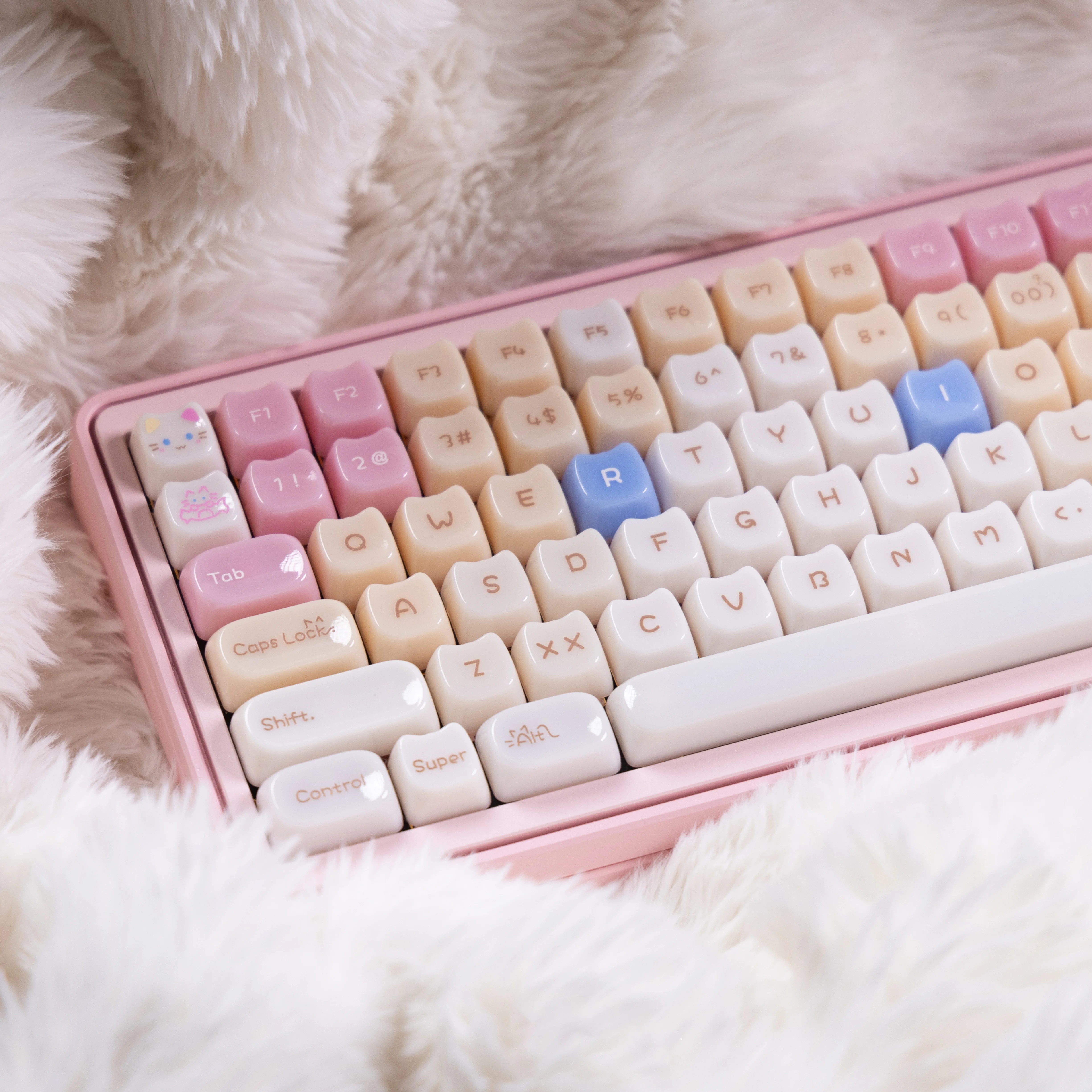 Cute Cat Keycap MOA+MAO Profile Sanhua/Muppet/Siamese PC Glazed Meow Keycaps for 2.25/2.75U Alice Layout Mechanical Keyboard
Cute Cat Keycap MOA+MAO Profile Sanhua/Muppet/Siamese PC Glazed Meow Keycaps for 2.25/2.75U Alice Layout Mechanical Keyboard