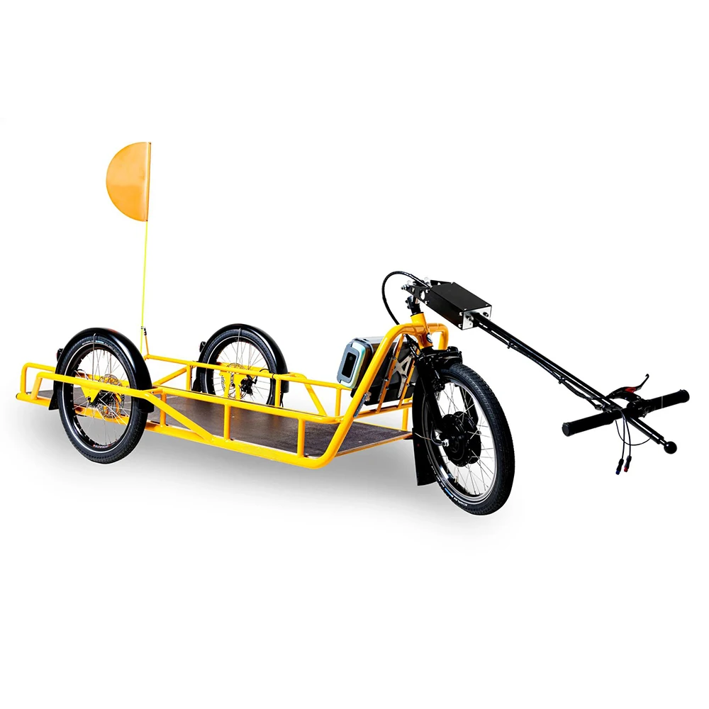 Large Capacity Three Wheels Luggage Cargo Trailer Max Customized Steel Bulk Electric Bike Trailer
Large Capacity Three Wheels Luggage Cargo Trailer Max Customized Steel Bulk Electric Bike Trailer