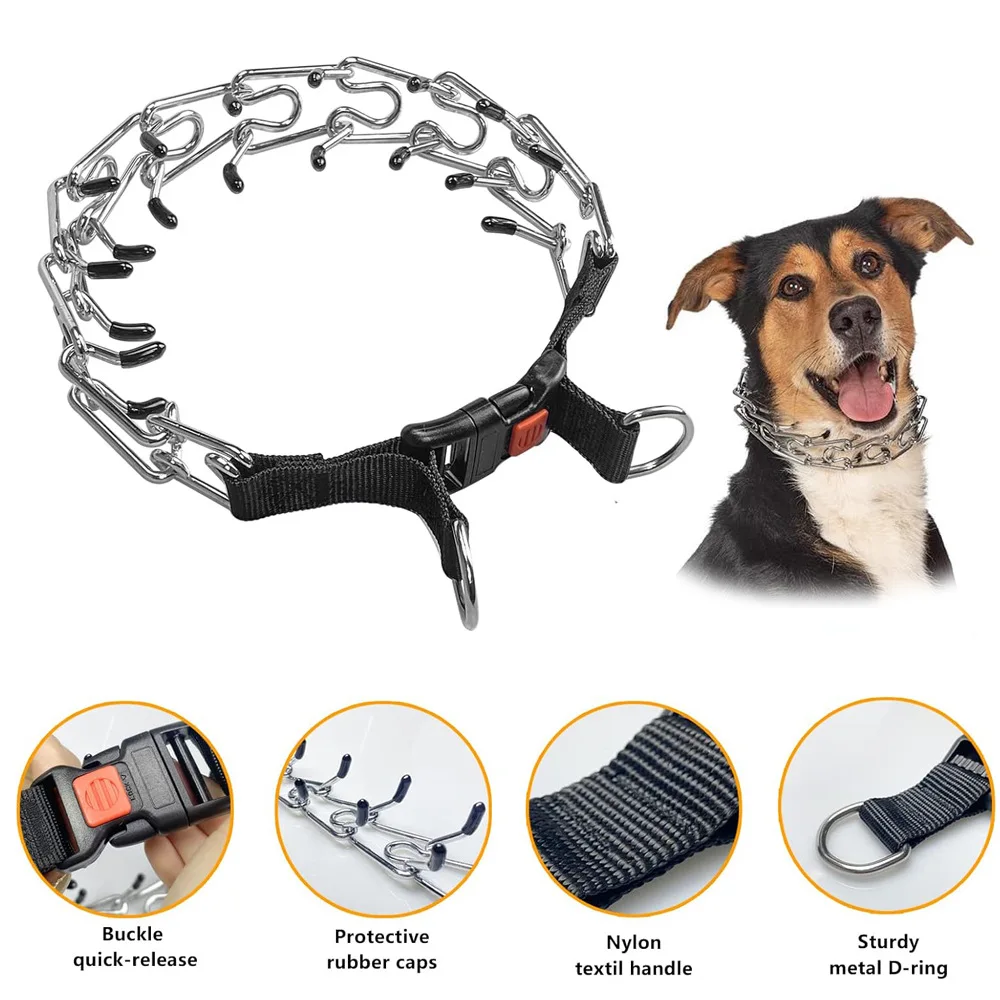 Adjustable Solid Iron Dog Training Collar Customizable PVC Nylon Webbing Ribbons Breakaway Personalized Metal Chain Teeth Free
Adjustable Solid Iron Dog Training Collar Customizable PVC Nylon Webbing Ribbons Breakaway Personalized Metal Chain Teeth Free