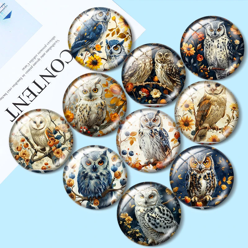 Owl and Flower Pattern 10pcs mixed 12mm/18mm/20mm/25mm Round photo glass cabochon demo flat back Making findings
Owl and Flower Pattern 10pcs mixed 12mm/18mm/20mm/25mm Round photo glass cabochon demo flat back Making findings