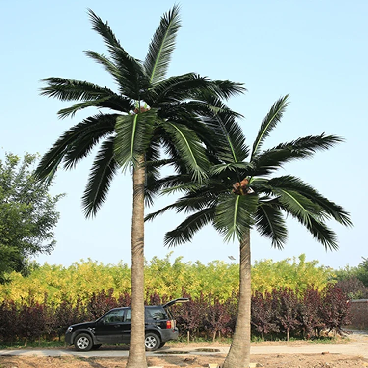 Large Decorative Palm Custom Outdoor Artificial Palm Trees
Large Decorative Palm Custom Outdoor Artificial Palm Trees
