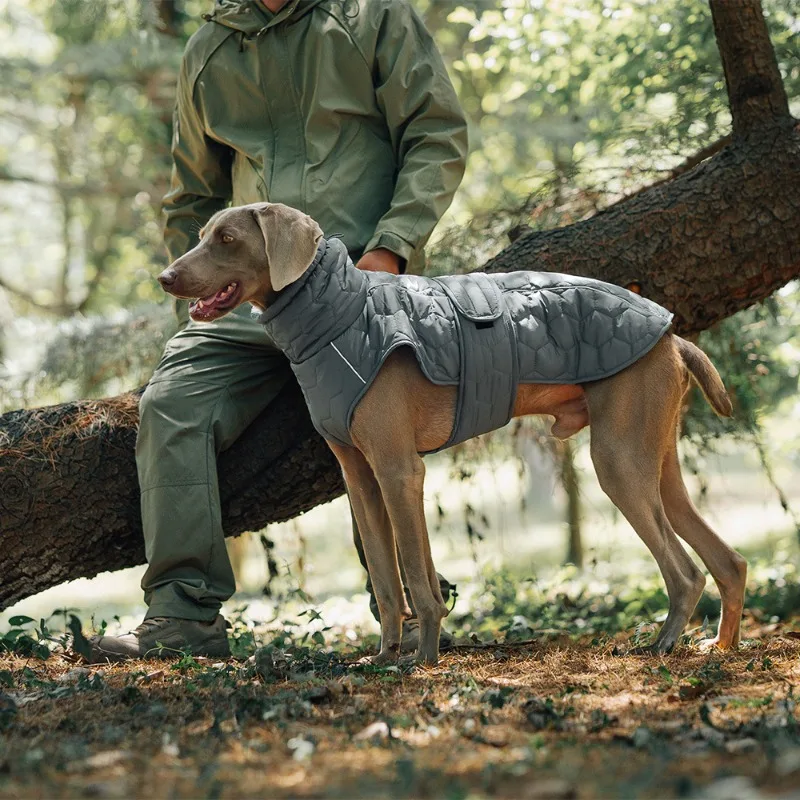 The New Autumn and Winter Dog Clothing Features Thick and Warm Outdoor Cotton-padded Vests for Dogs
The New Autumn and Winter Dog Clothing Features Thick and Warm Outdoor Cotton-padded Vests for Dogs