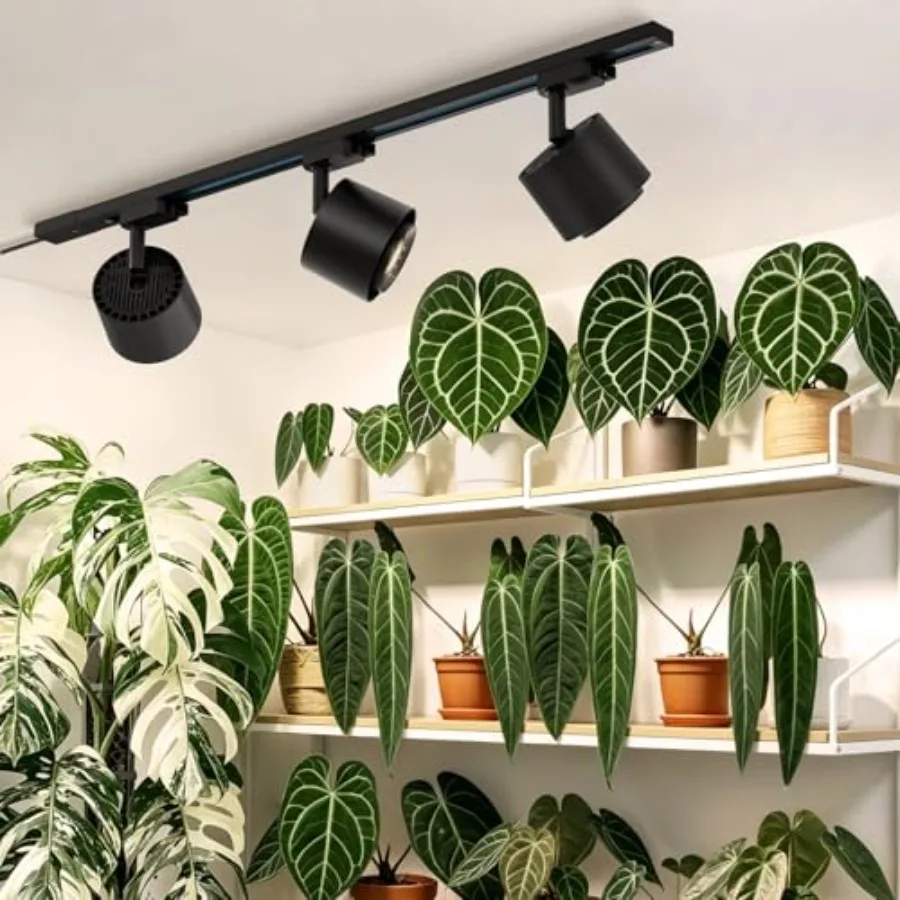 TR40c Track Grow Light for Indoor Growing, 3 x 40W, 15-60 Adjustable Beam Angle, 4000K Ceiling Mount Full Spectrum Grow Lamp, L
TR40c Track Grow Light for Indoor Growing, 3 x 40W, 15-60 Adjustable Beam Angle, 4000K Ceiling Mount Full Spectrum Grow Lamp, L