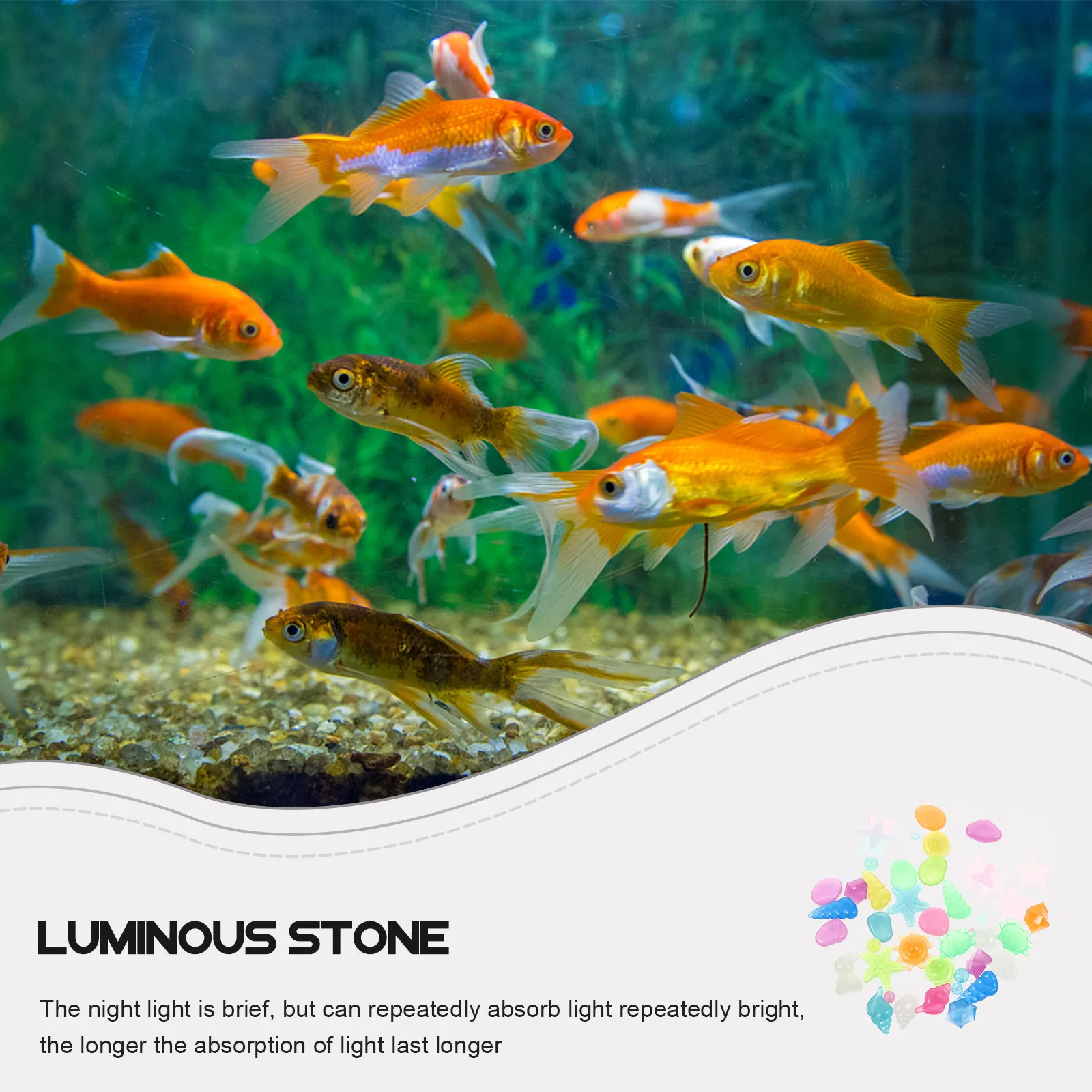 1Set Glow in The Dark Aquarium Rocks Resin Landscaping Stones Fish Tank Glowing Stones Decor Garden Aquarium Scenery
1Set Glow in The Dark Aquarium Rocks Resin Landscaping Stones Fish Tank Glowing Stones Decor Garden Aquarium Scenery